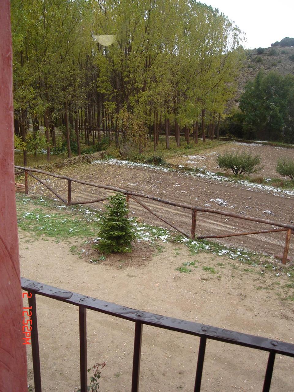 Photo 7