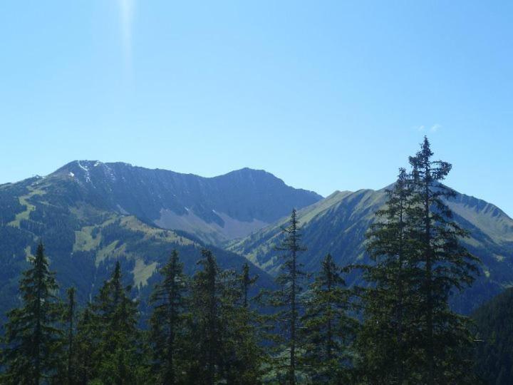 Photo 42