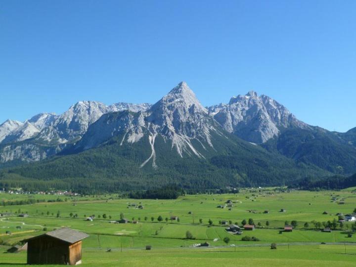 Photo 45