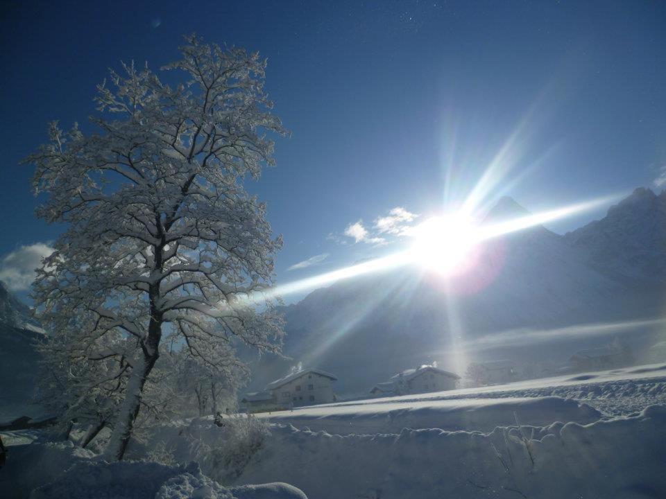 Photo 44