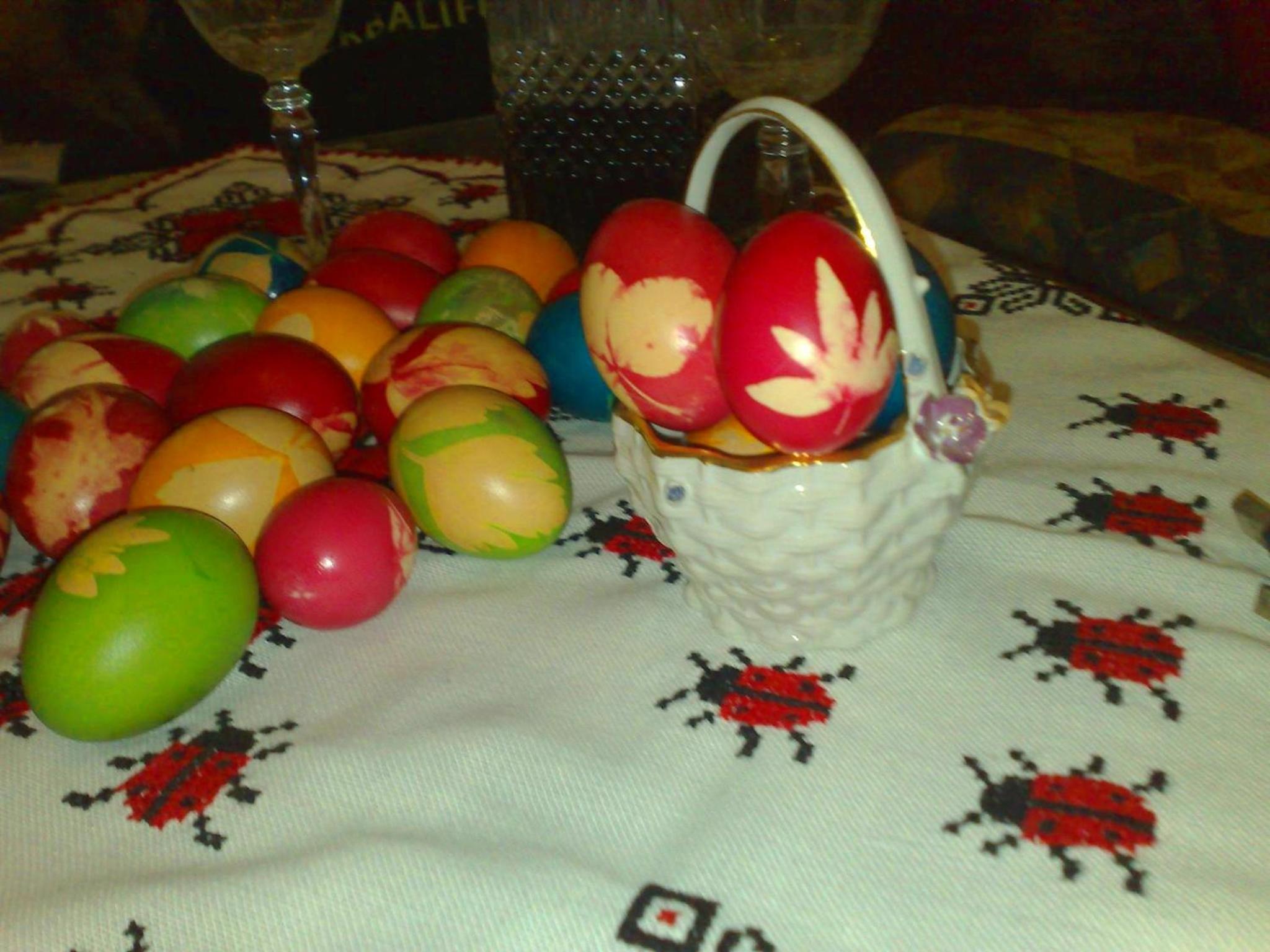 Photo 47