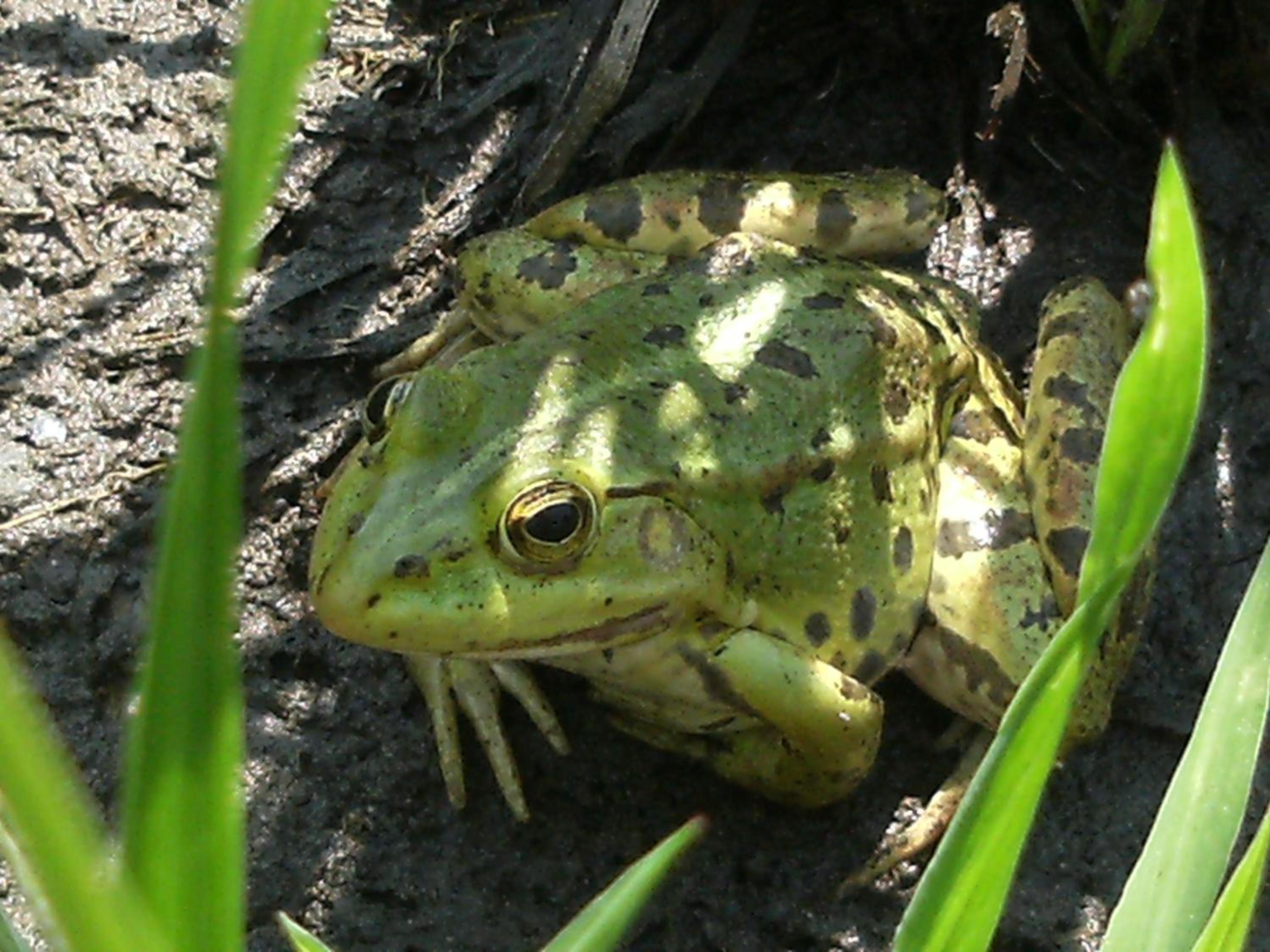 Photo 22