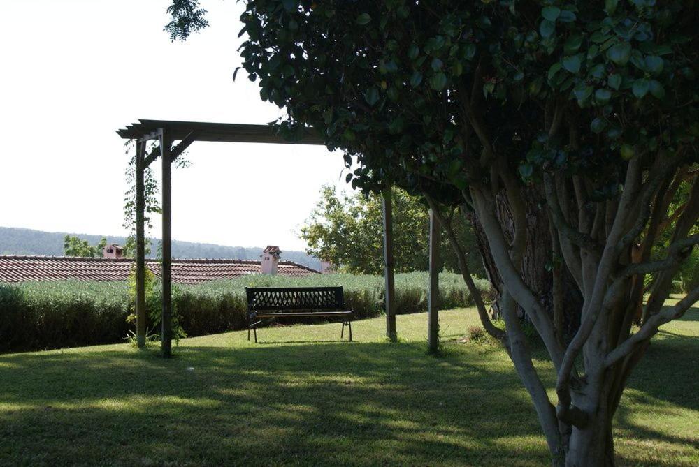 Paco d'Anha, photo 23