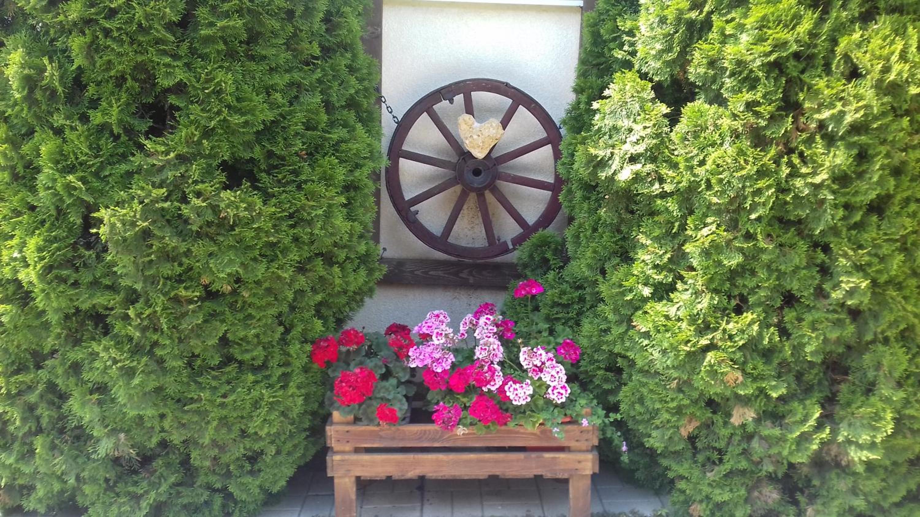 Photo 16