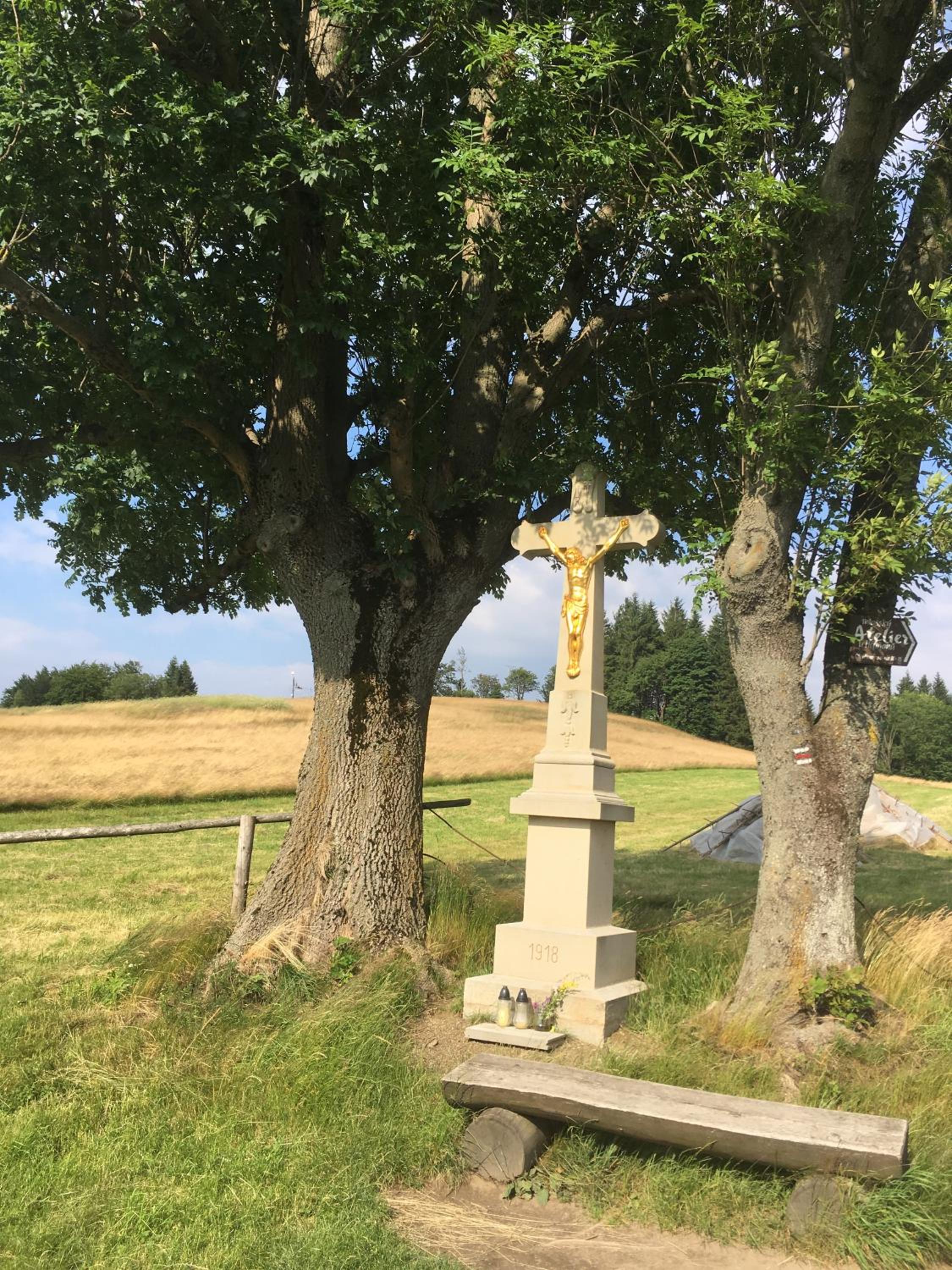 Photo 19