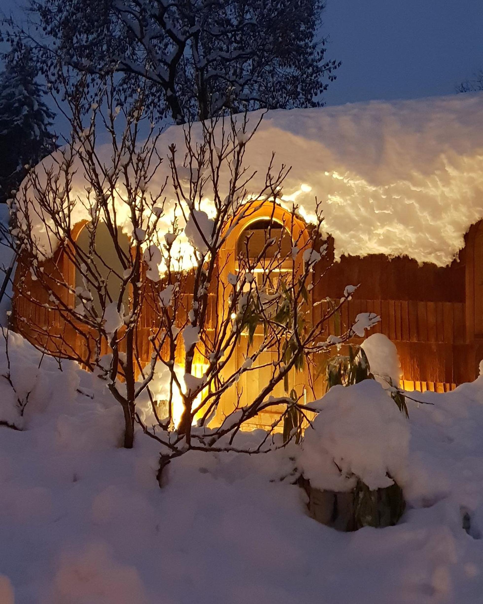 Tiny House Igluhut