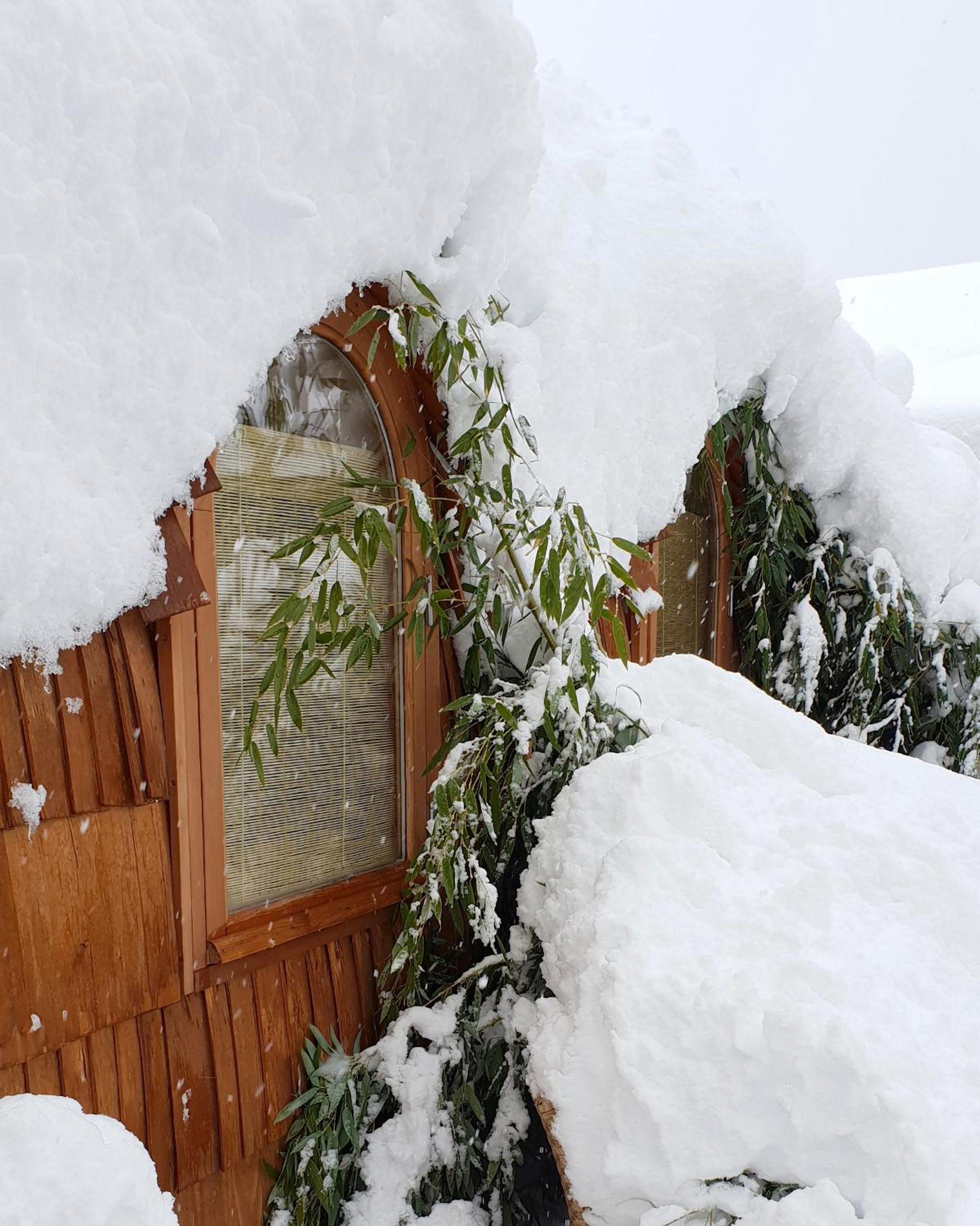 Tiny House Igluhut