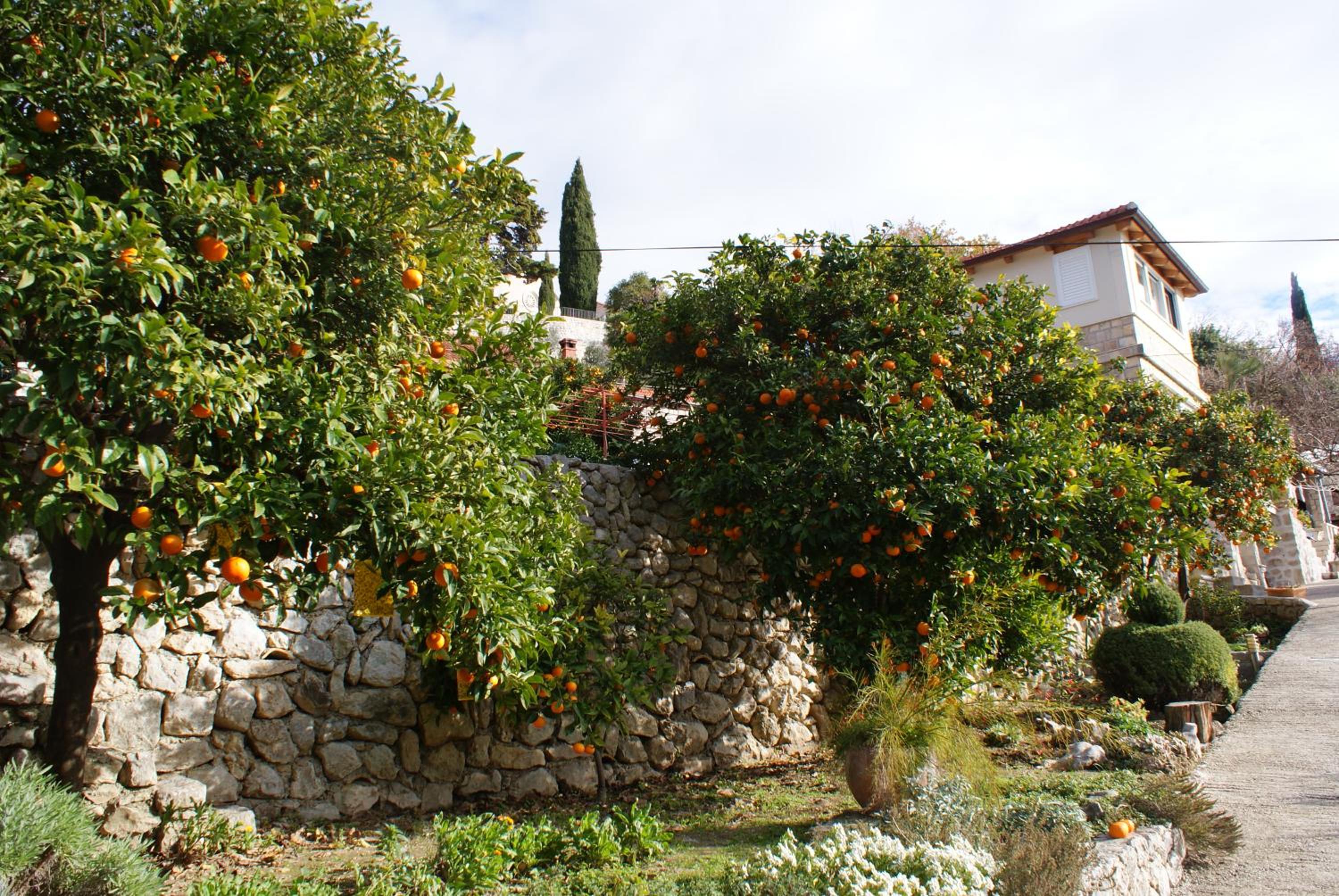 Three oranges view 4