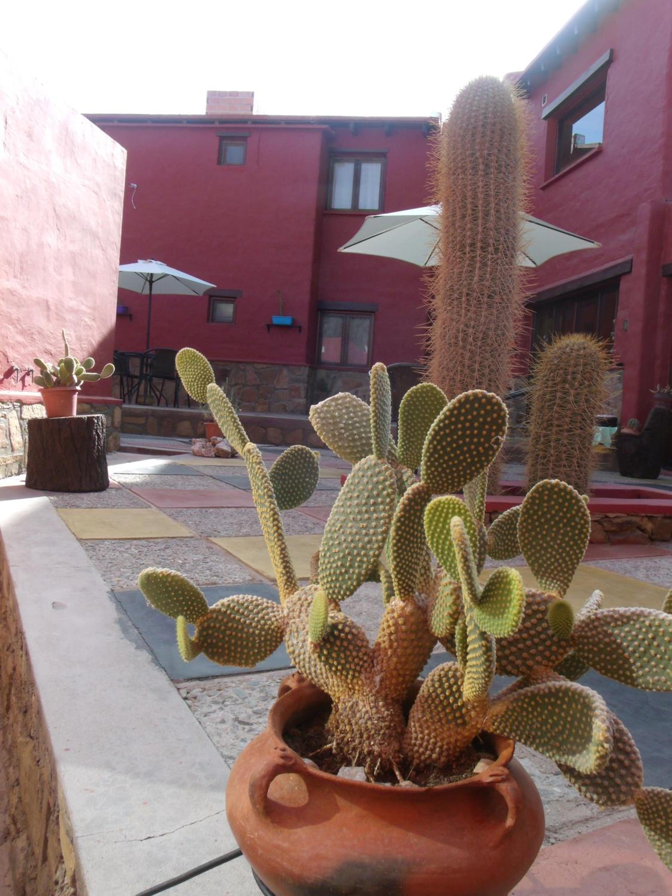 Hosteria Felipa Pastor - Ex Munay Humahuaca