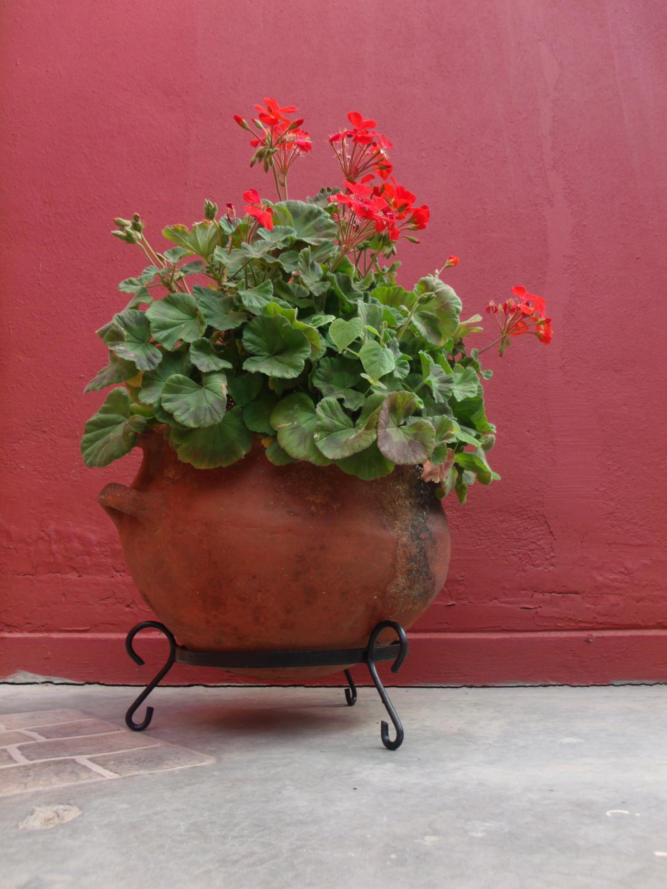 Hosteria Felipa Pastor - Ex Munay Humahuaca