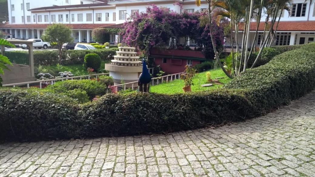 Apts no Condominio Quisisana