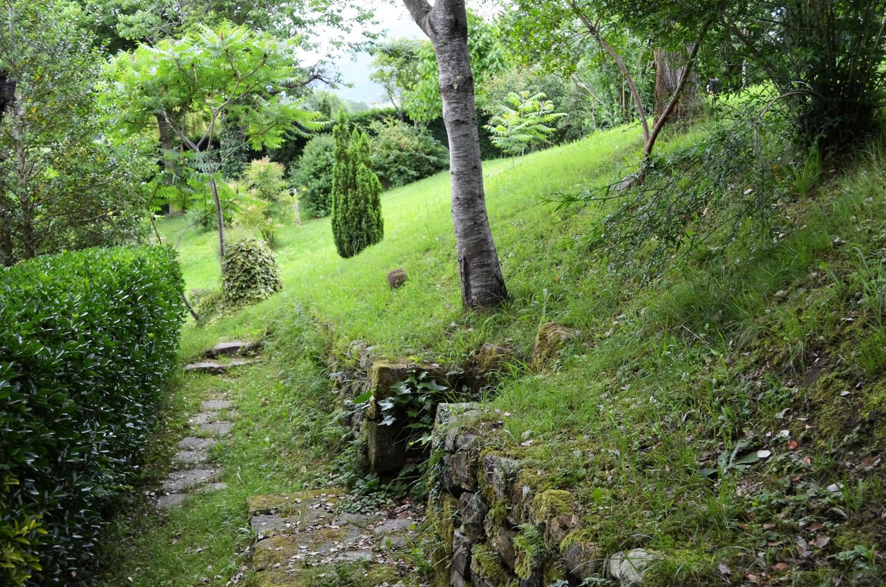 Photo 39