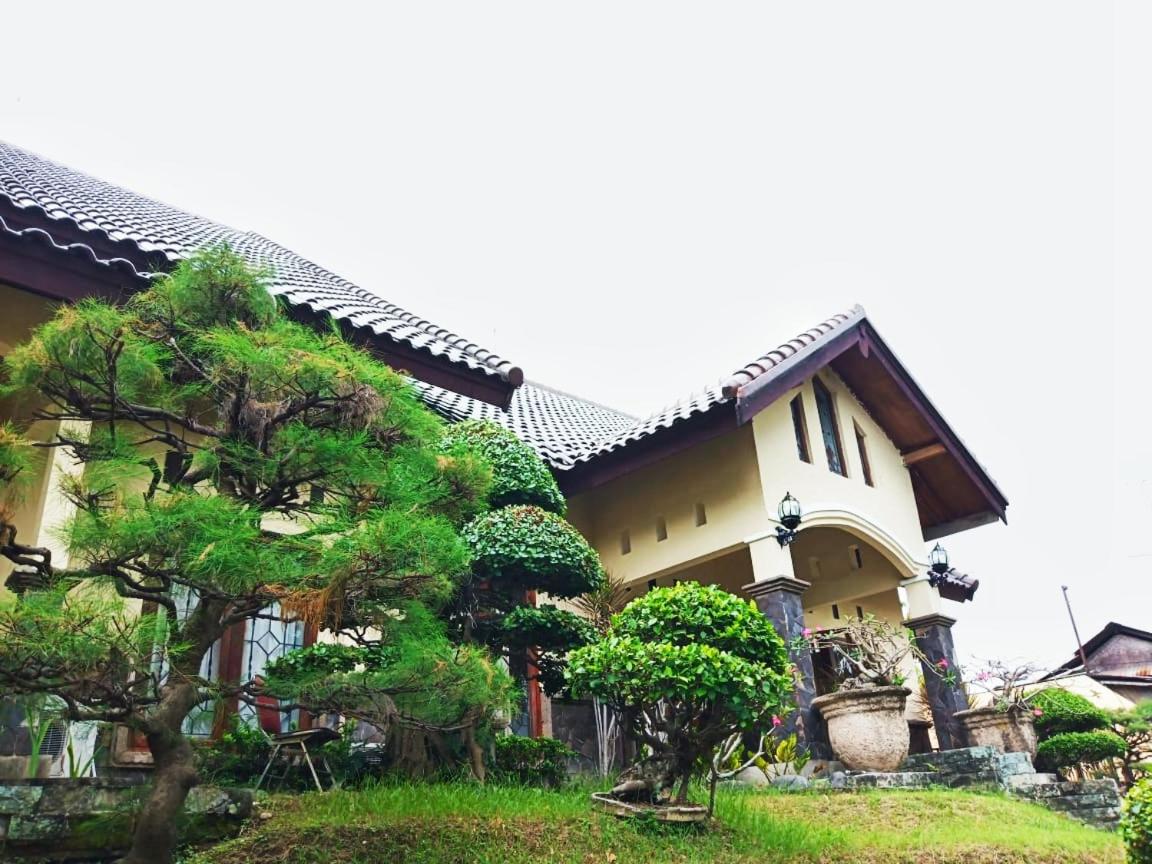 The Terrace House