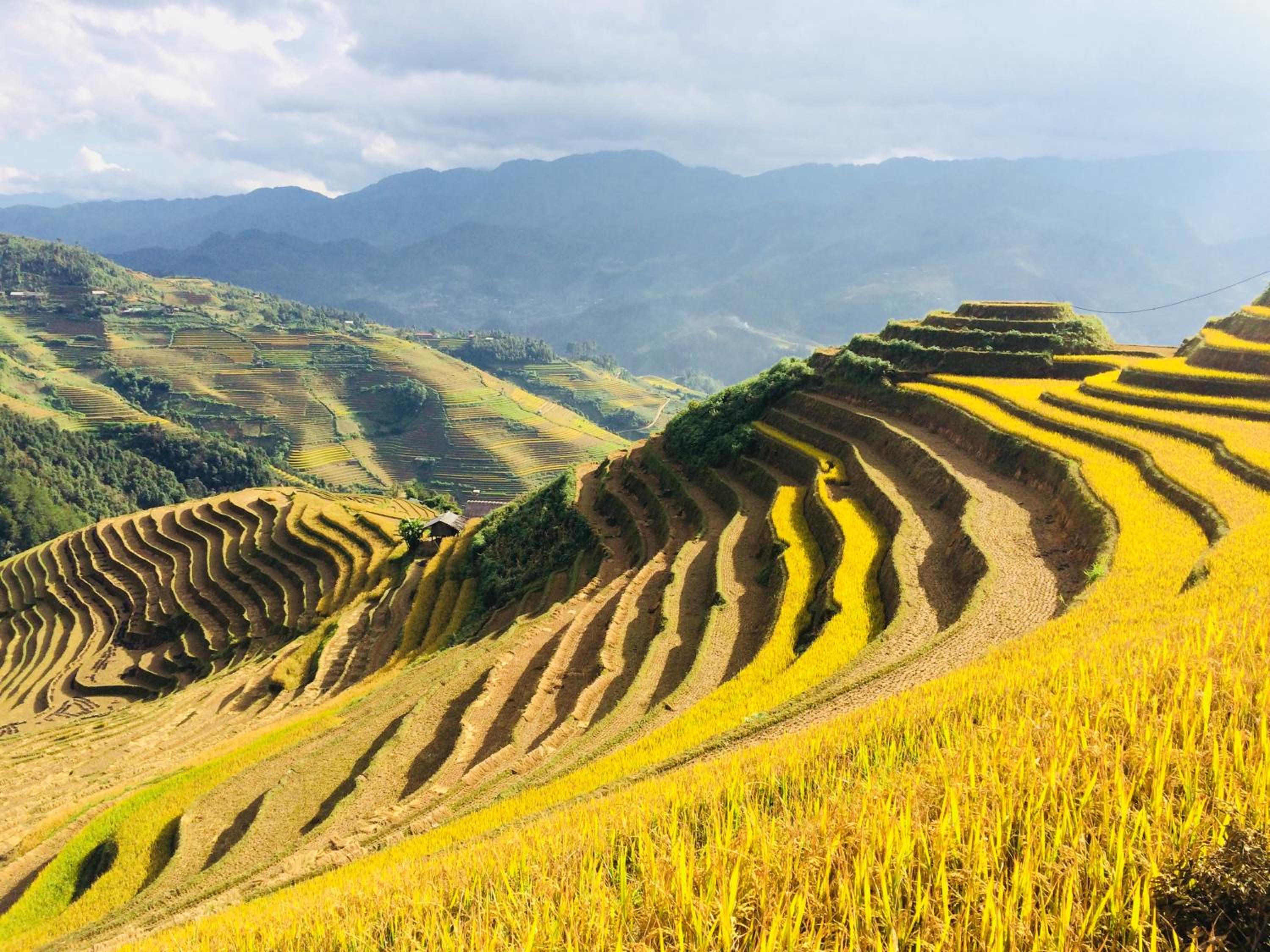 Hello Mu Cang Chai Homestay & Tours