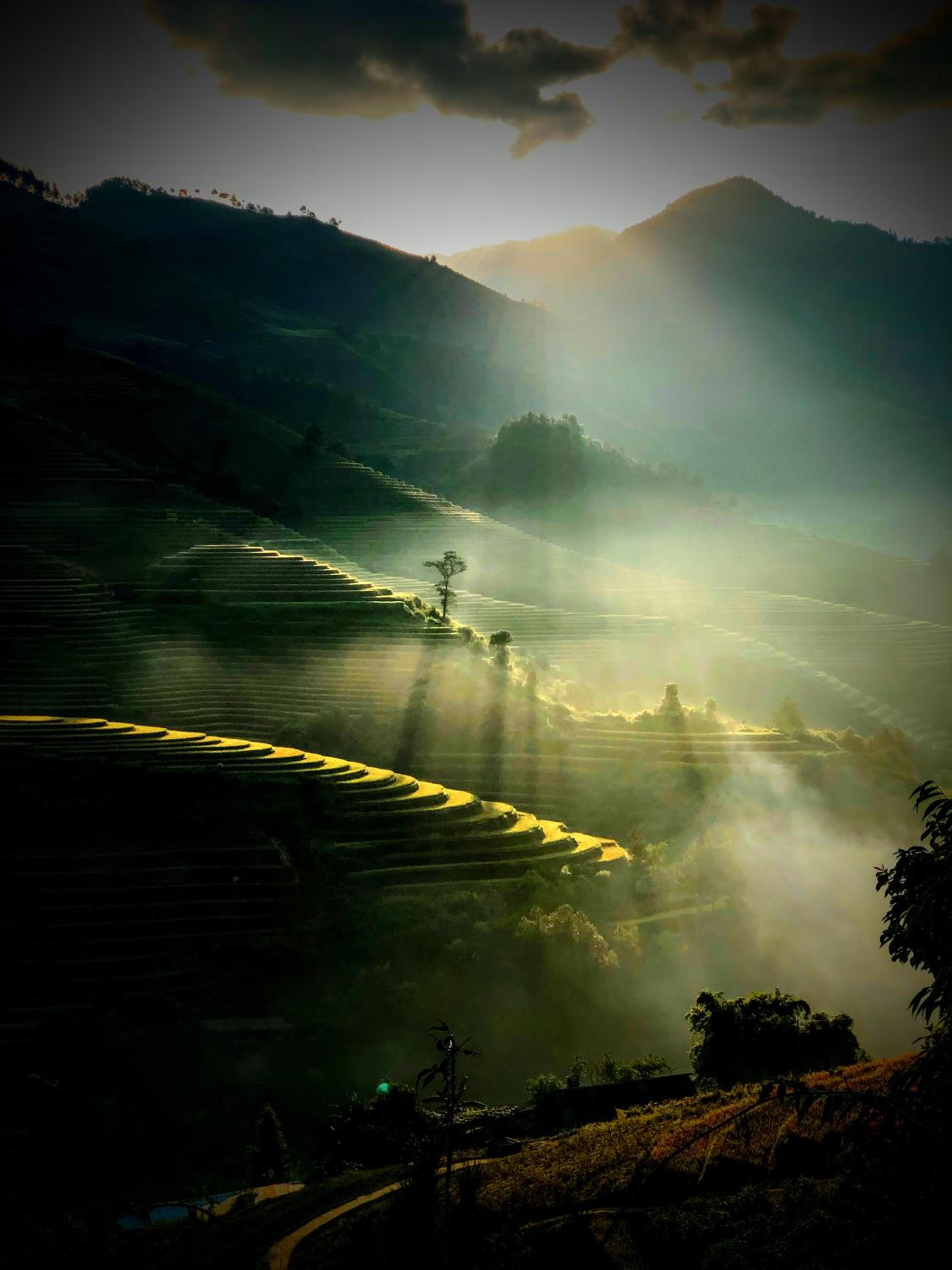 Hello Mu Cang Chai Homestay & Tours
