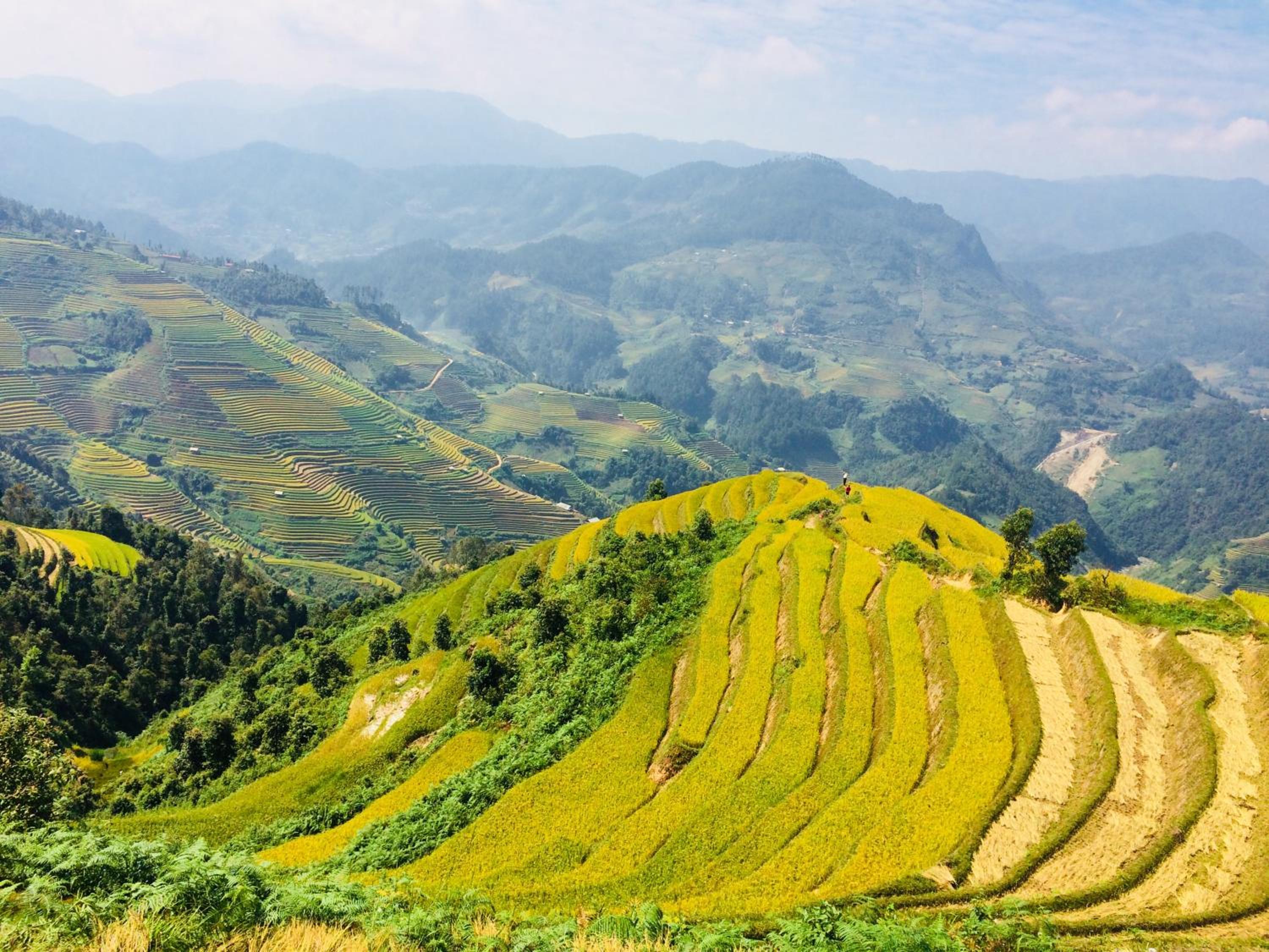 Hello Mu Cang Chai Homestay & Tours