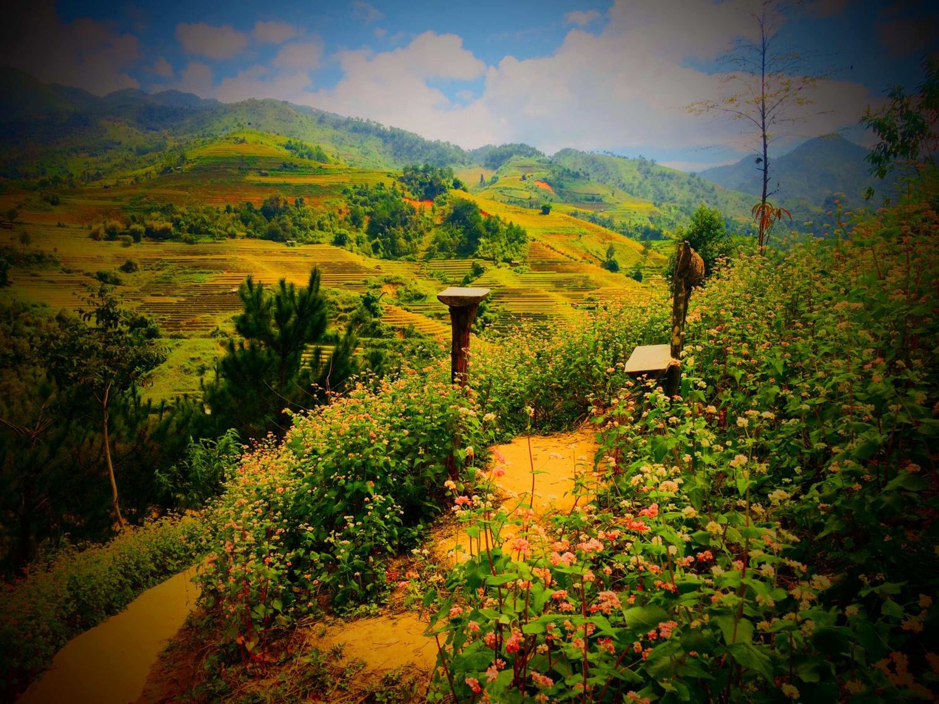 Hello Mu Cang Chai Homestay & Tours