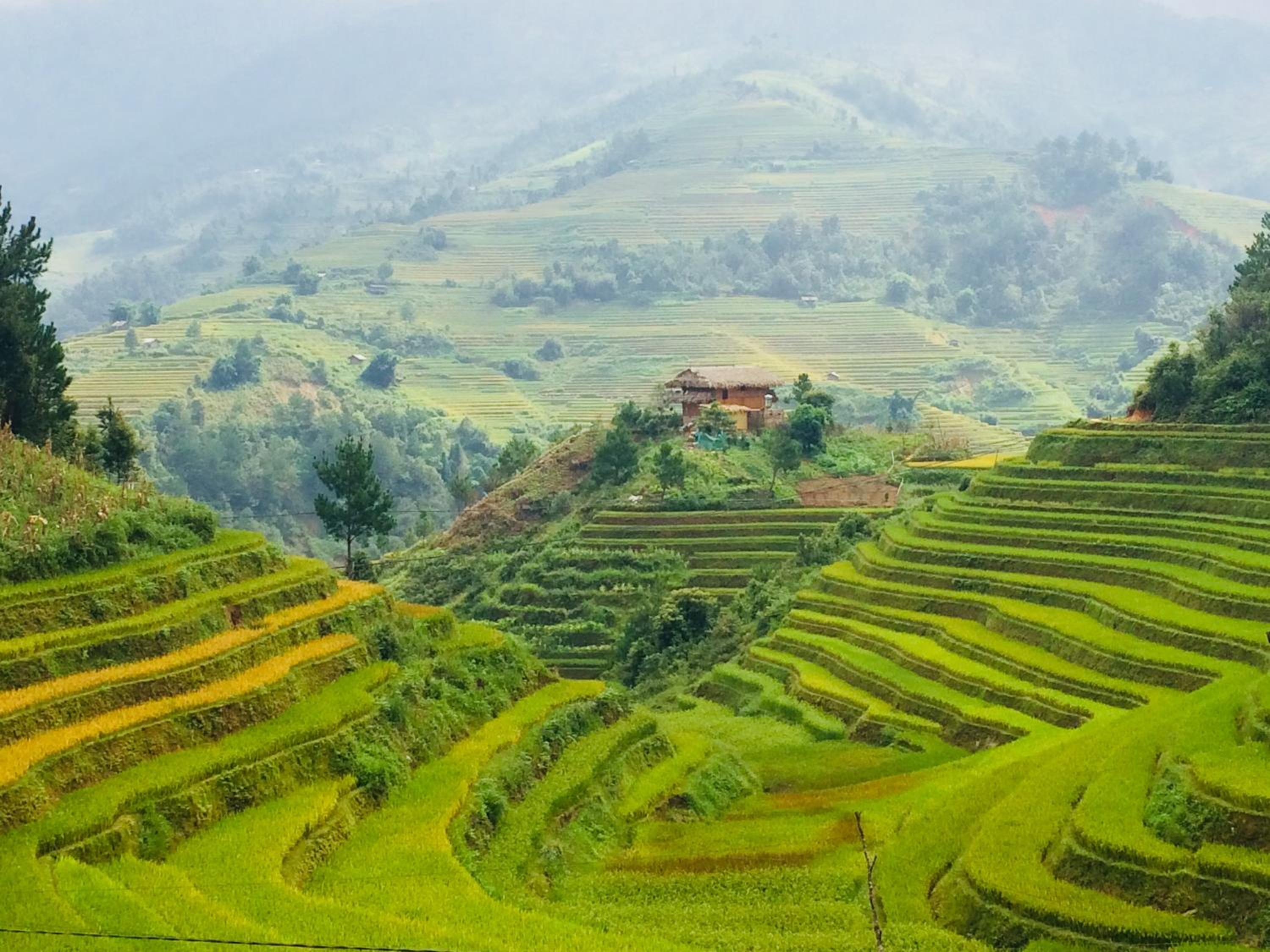 Hello Mu Cang Chai Homestay & Tours