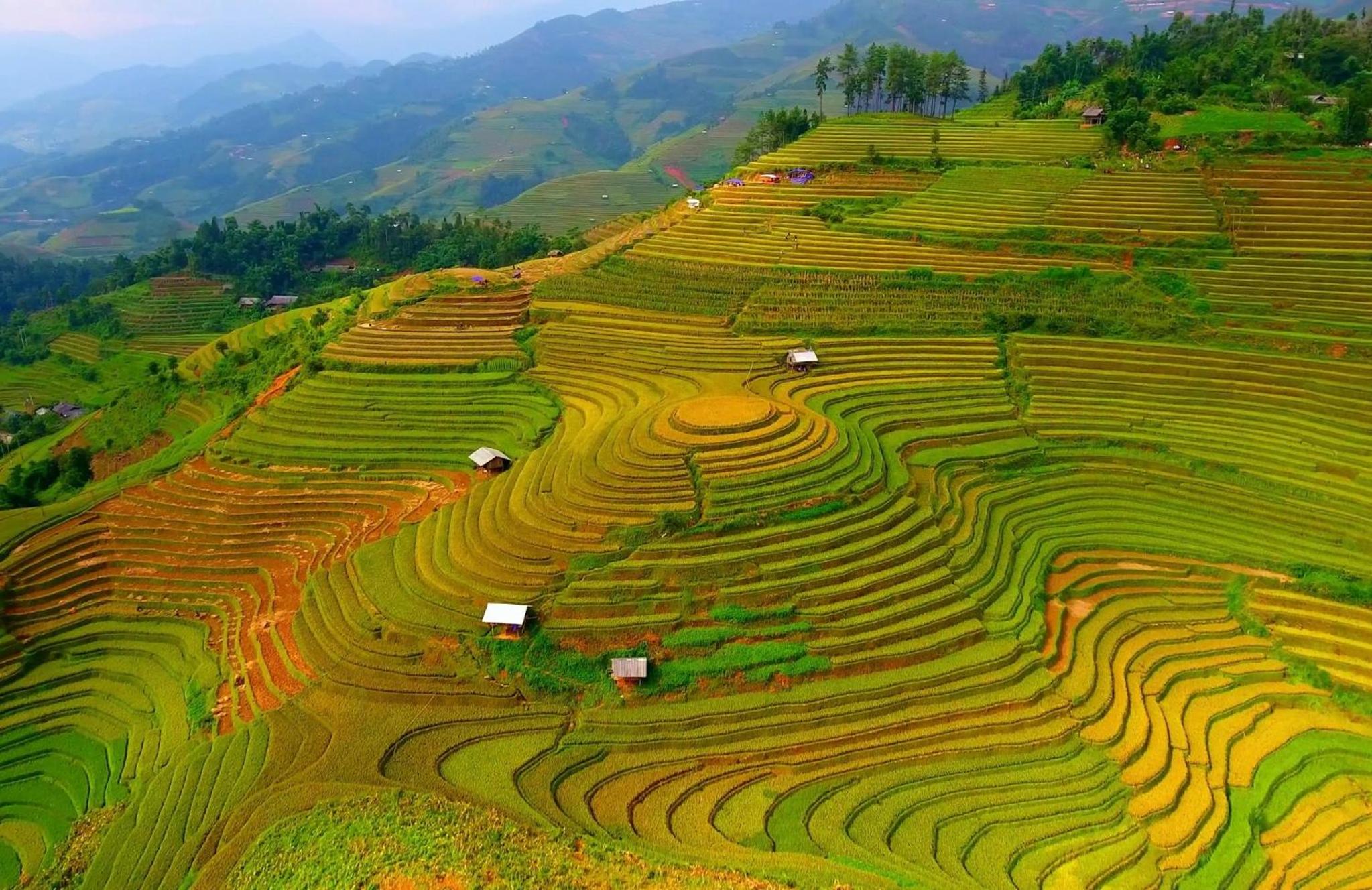 Hello Mu Cang Chai Homestay & Tours