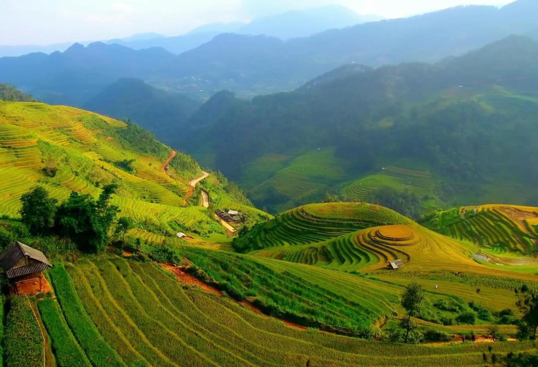 Hello Mu Cang Chai Homestay & Tours