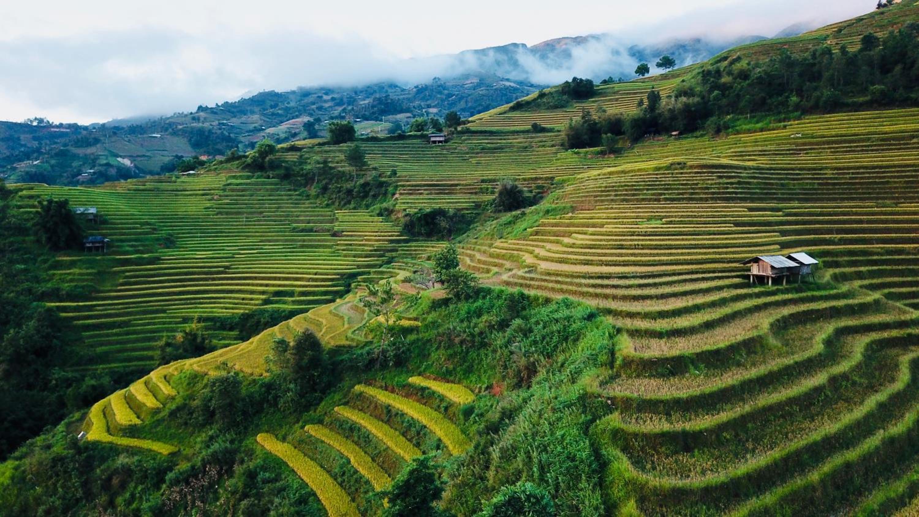 Hello Mu Cang Chai Homestay & Tours