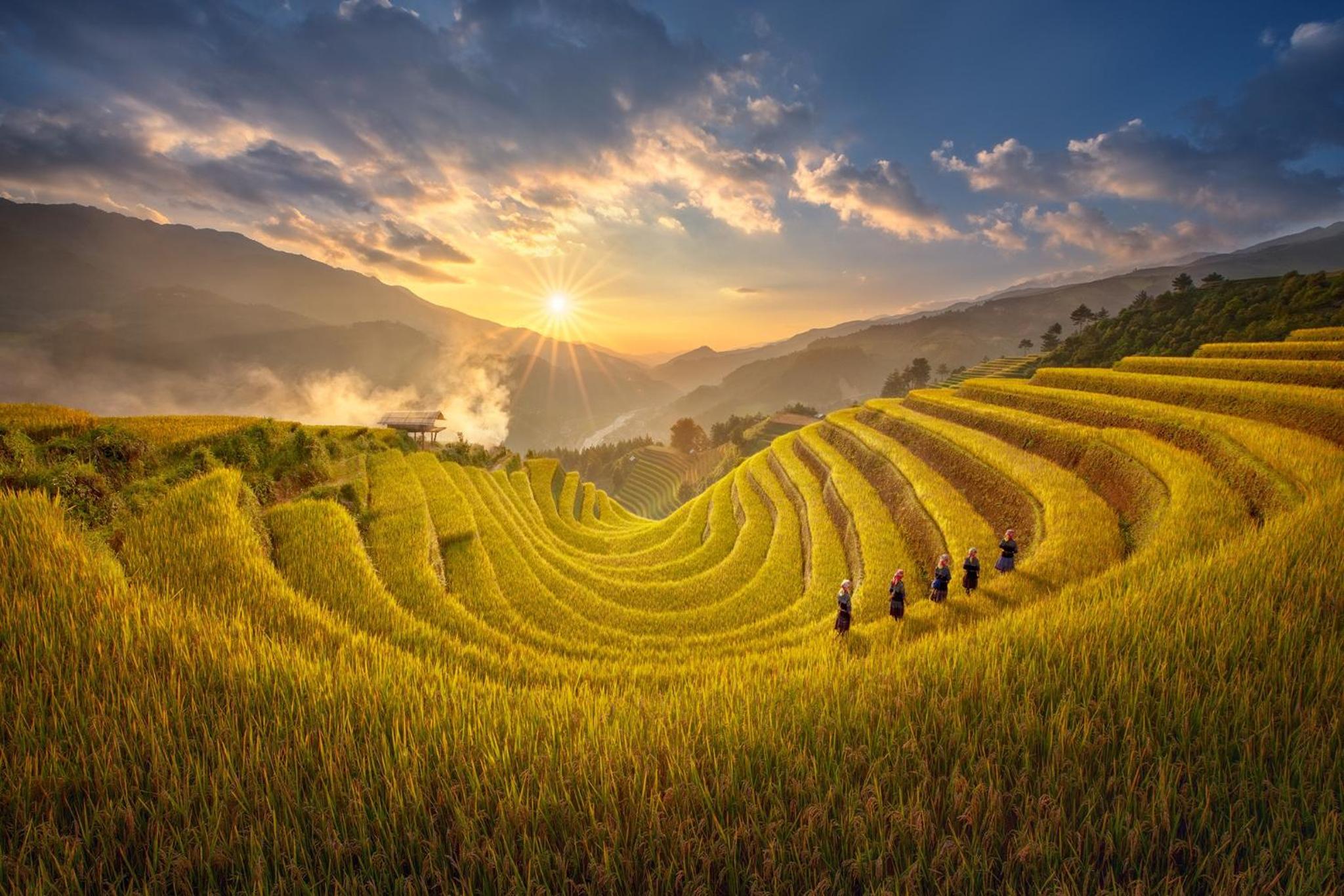 Hello Mu Cang Chai Homestay & Tours