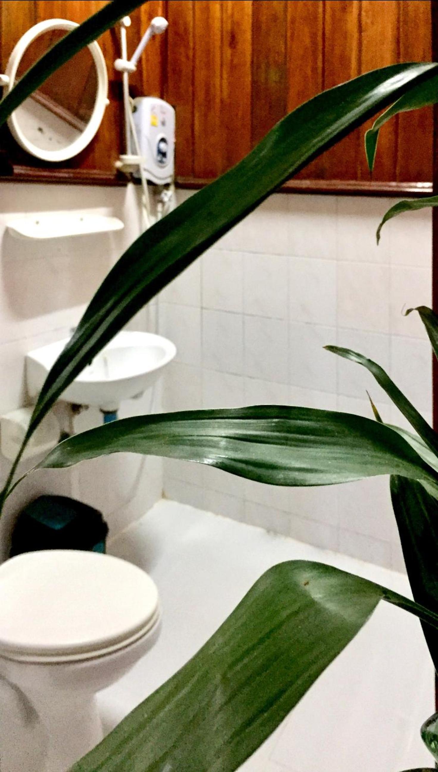 Soutikone1 Guesthouse