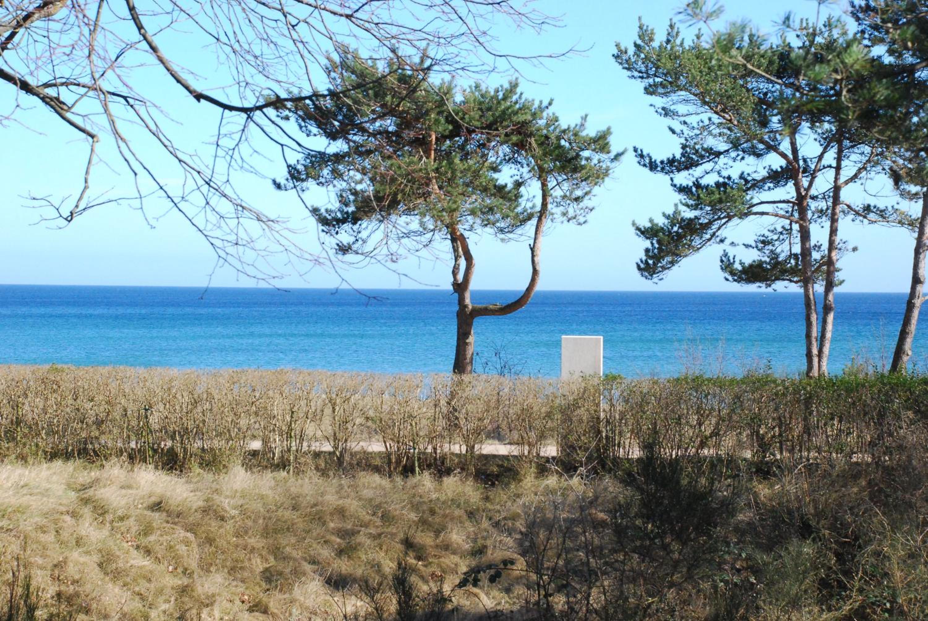 Arkonablick 53