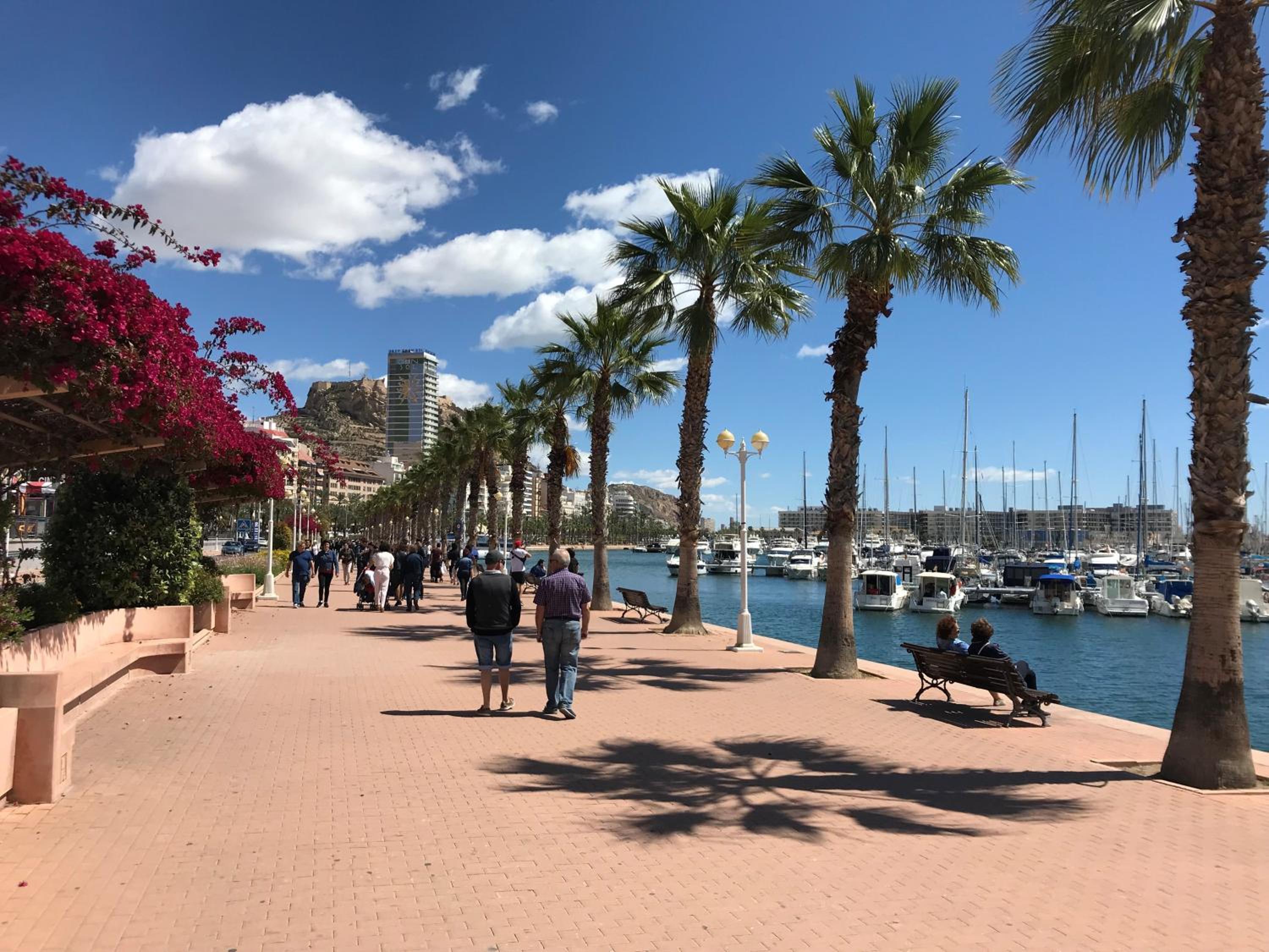 Marina Alicante Apartment - City Center view 4