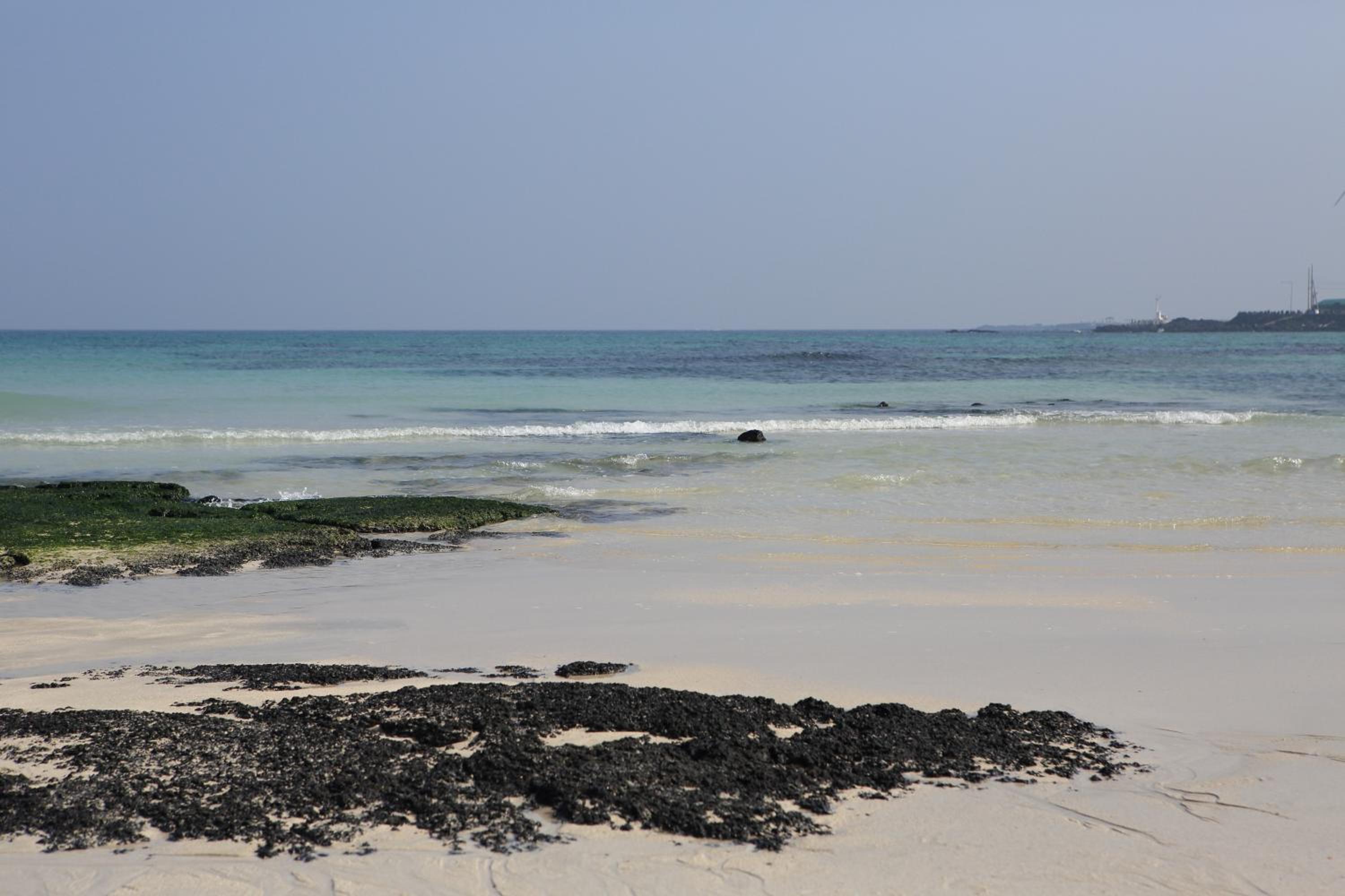 Jeju Vacations - Lunamar Pension - Property Image 2