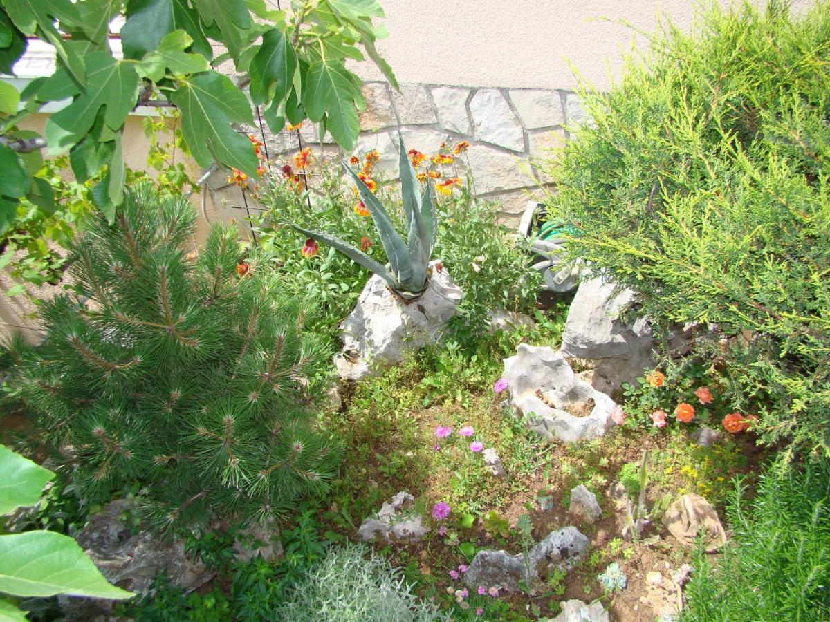 Photo 40