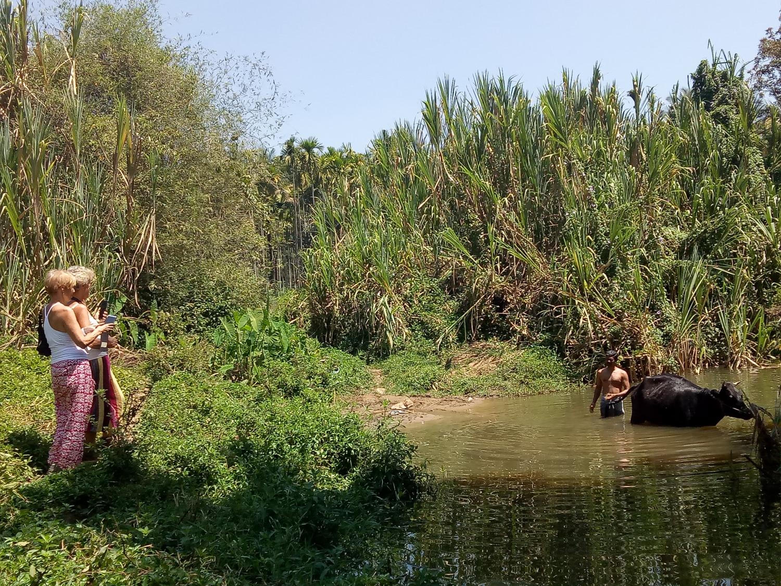 THE SUVISTARA WAYANAD KERALA - Property Image 10