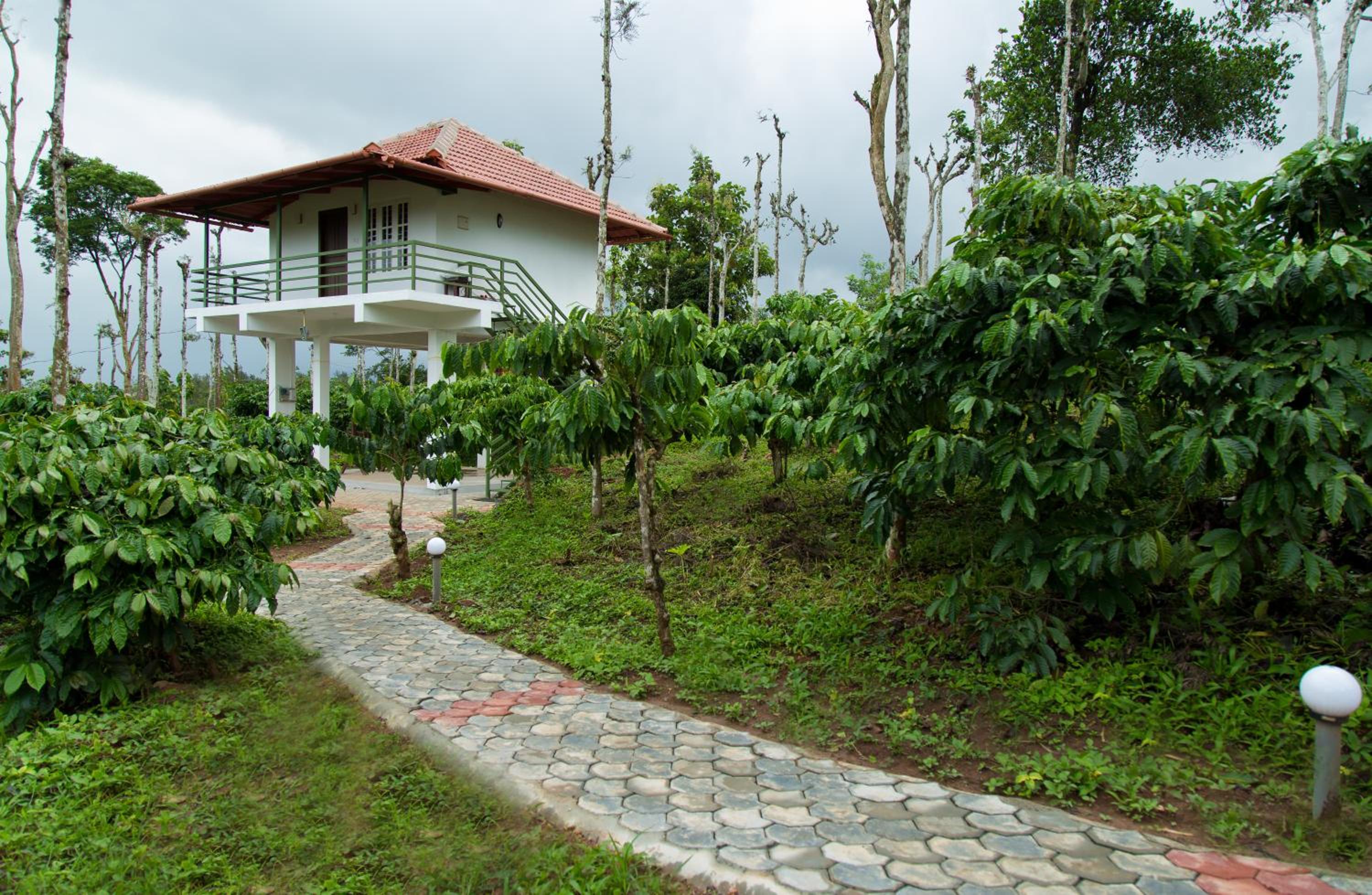 THE SUVISTARA WAYANAD KERALA - Property Image 1