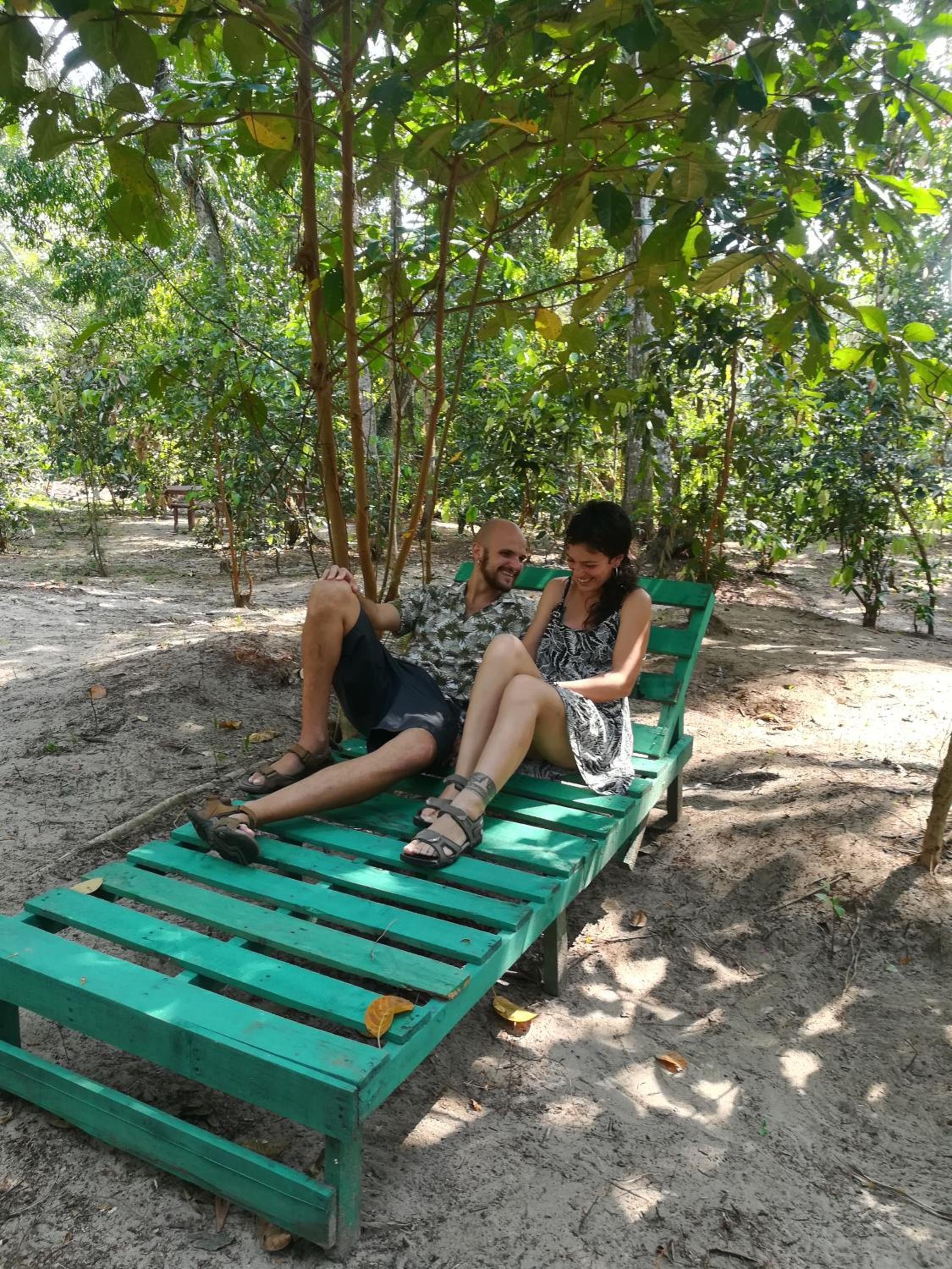Jungle Paradise