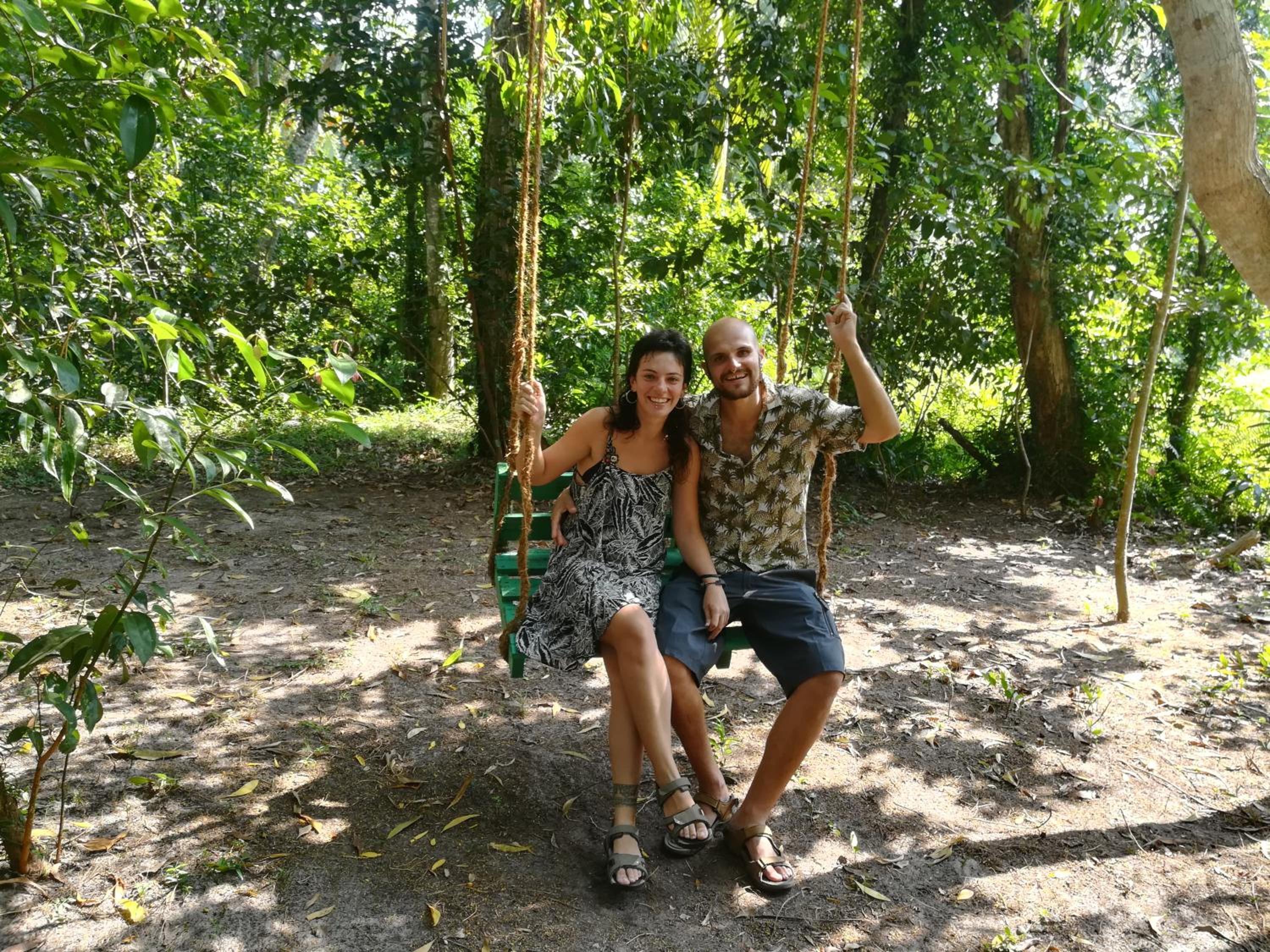 Jungle Paradise
