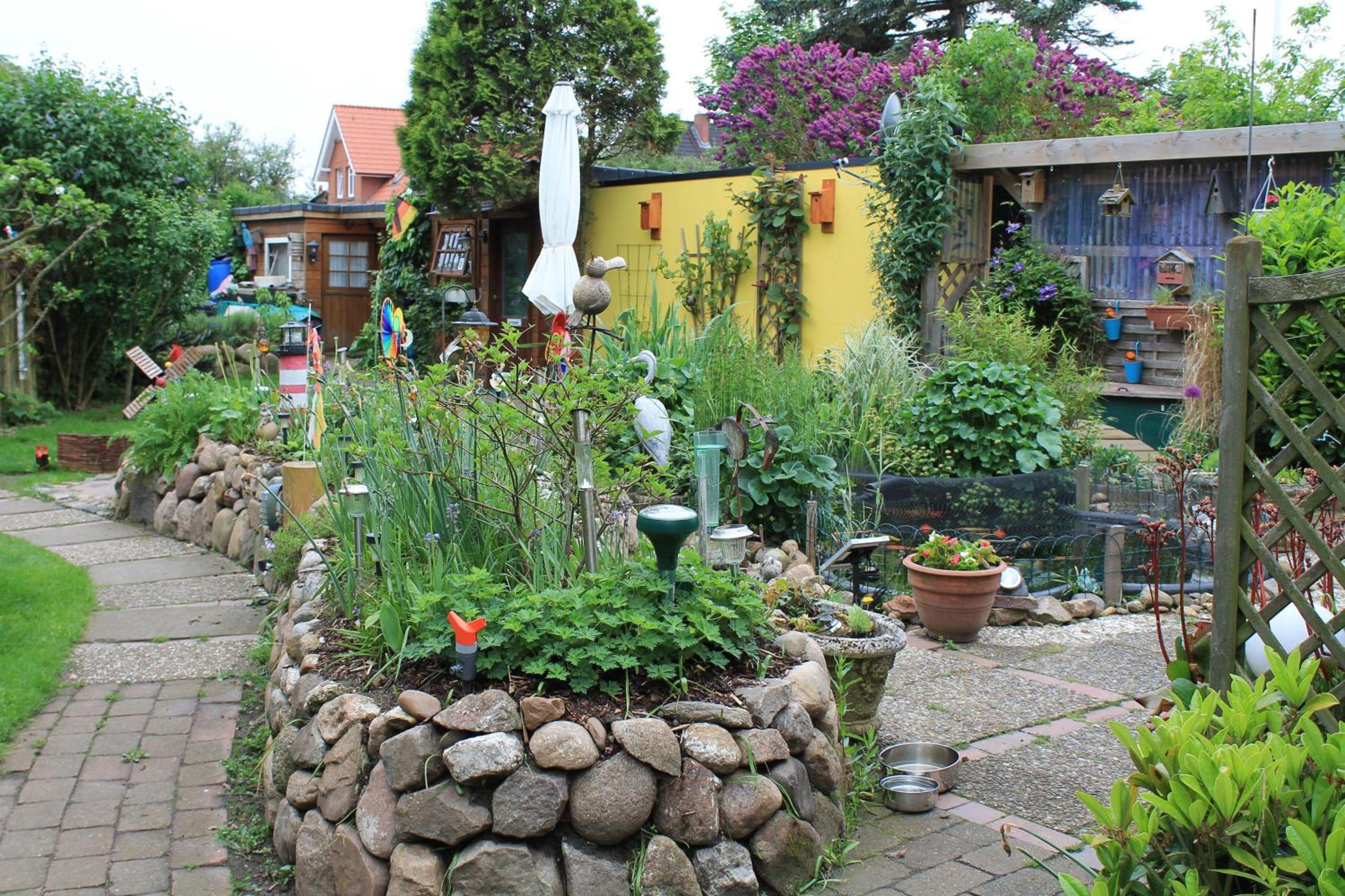 Photo 11
