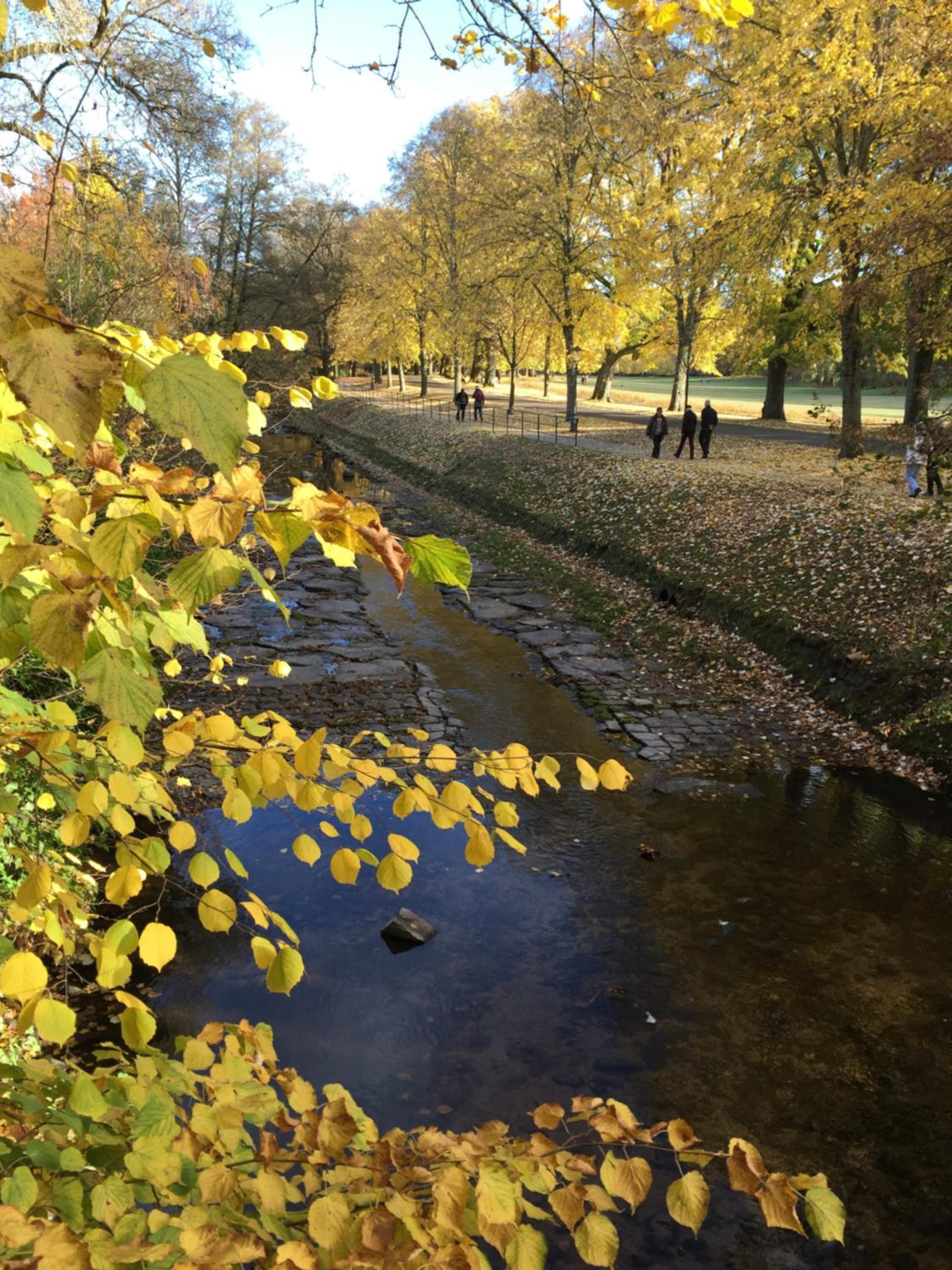 Suite mit Blick auf die Lichtentaler Allee