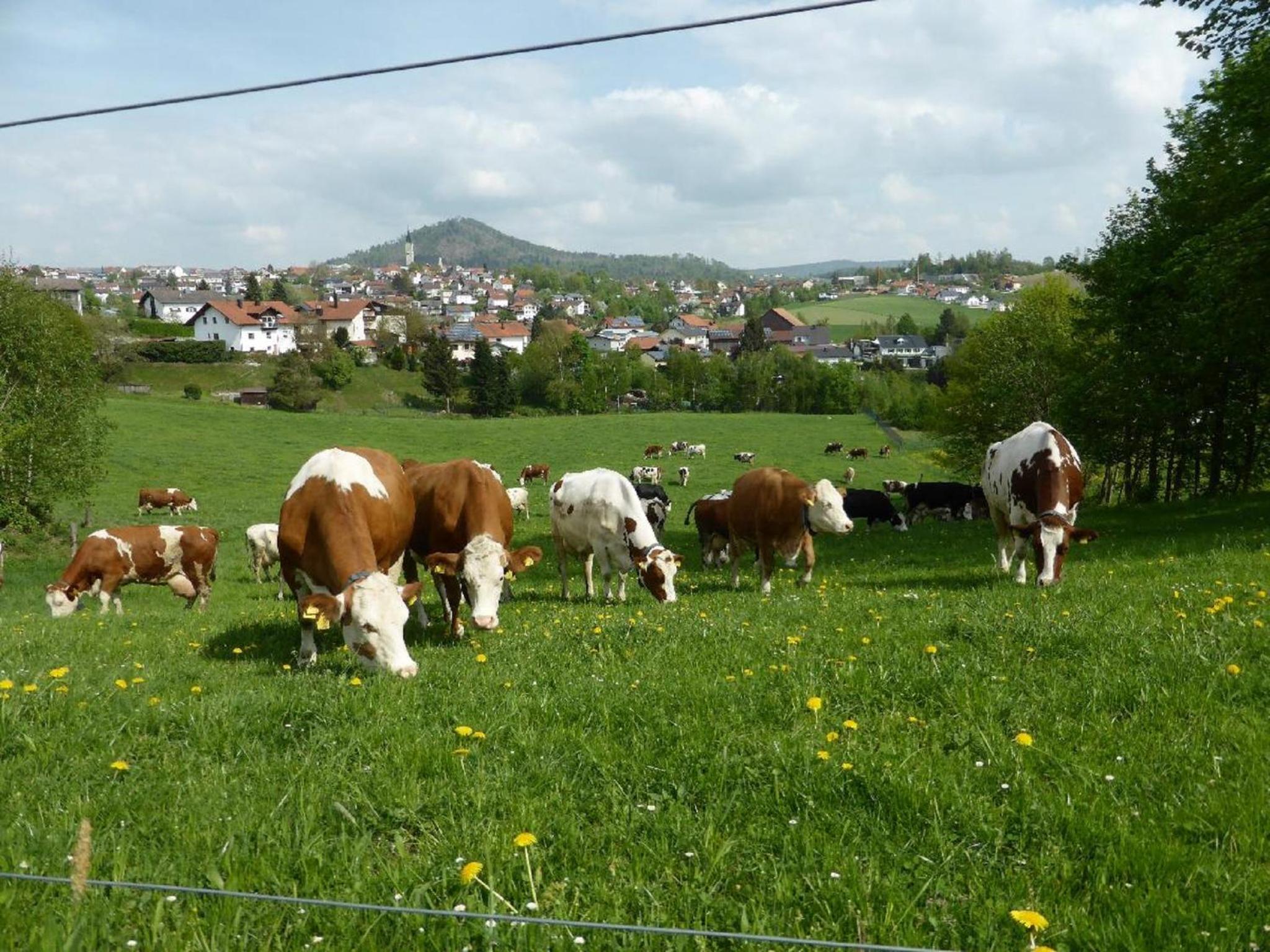 Ferienbauernhof Rosenberger view 4