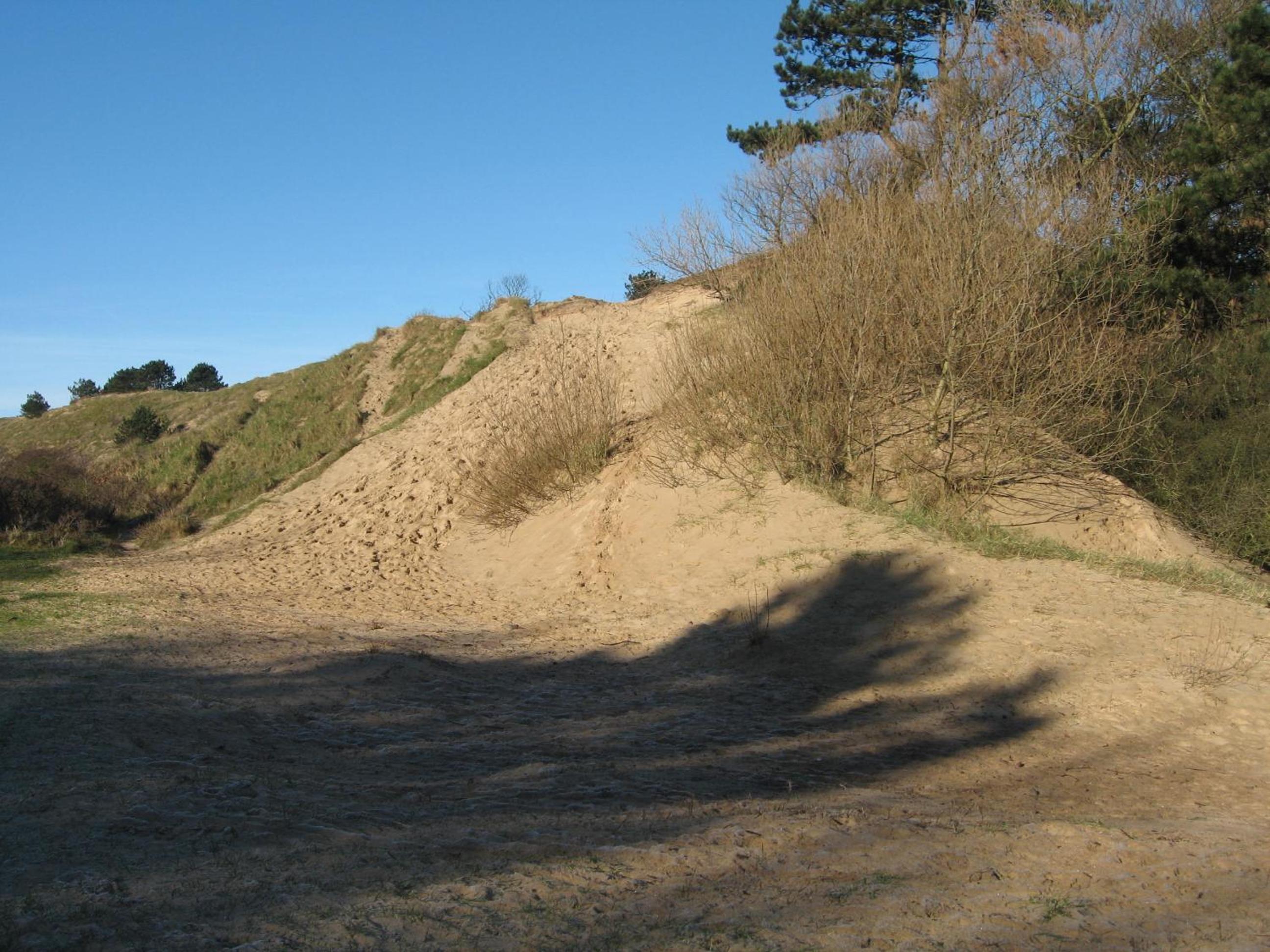 Photo 16