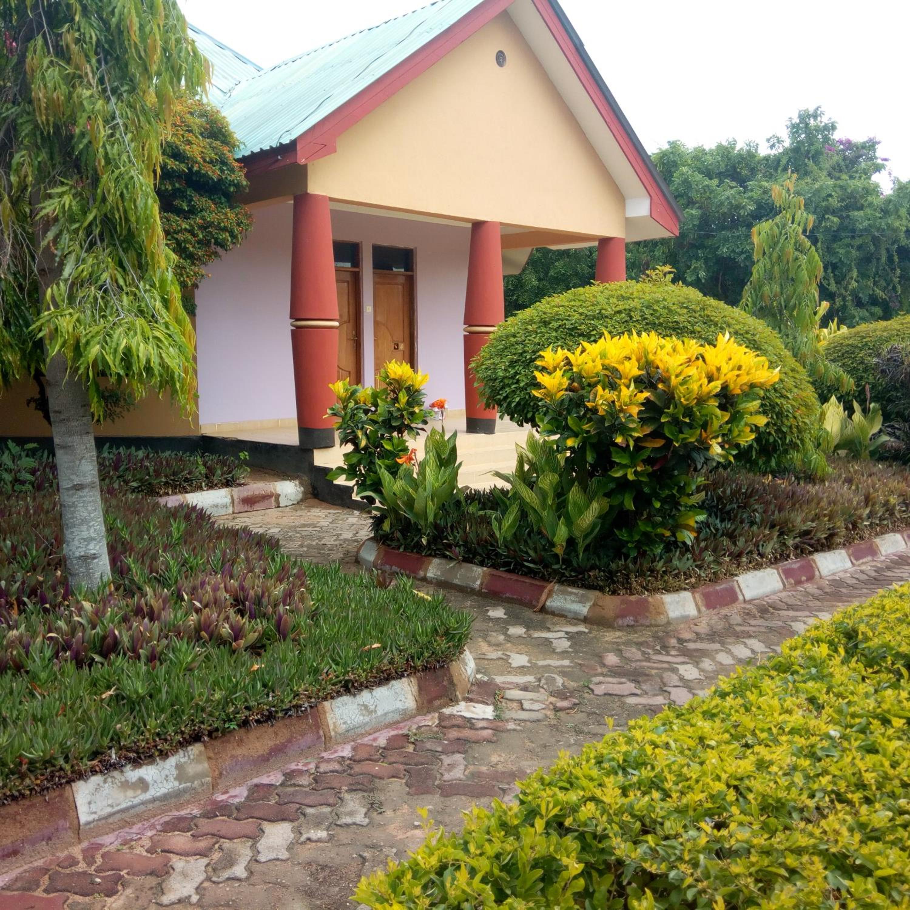 Photo 6