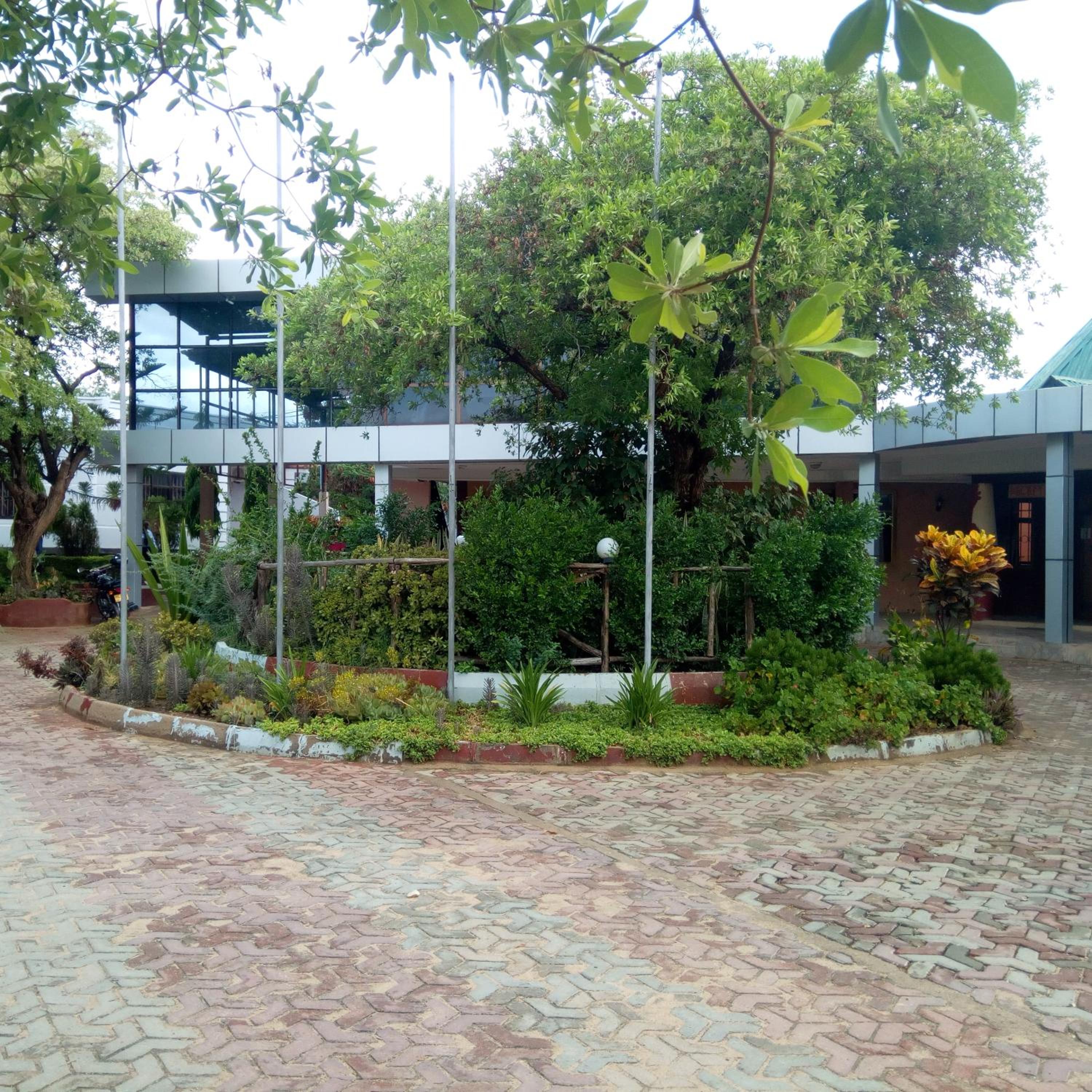 Photo 7