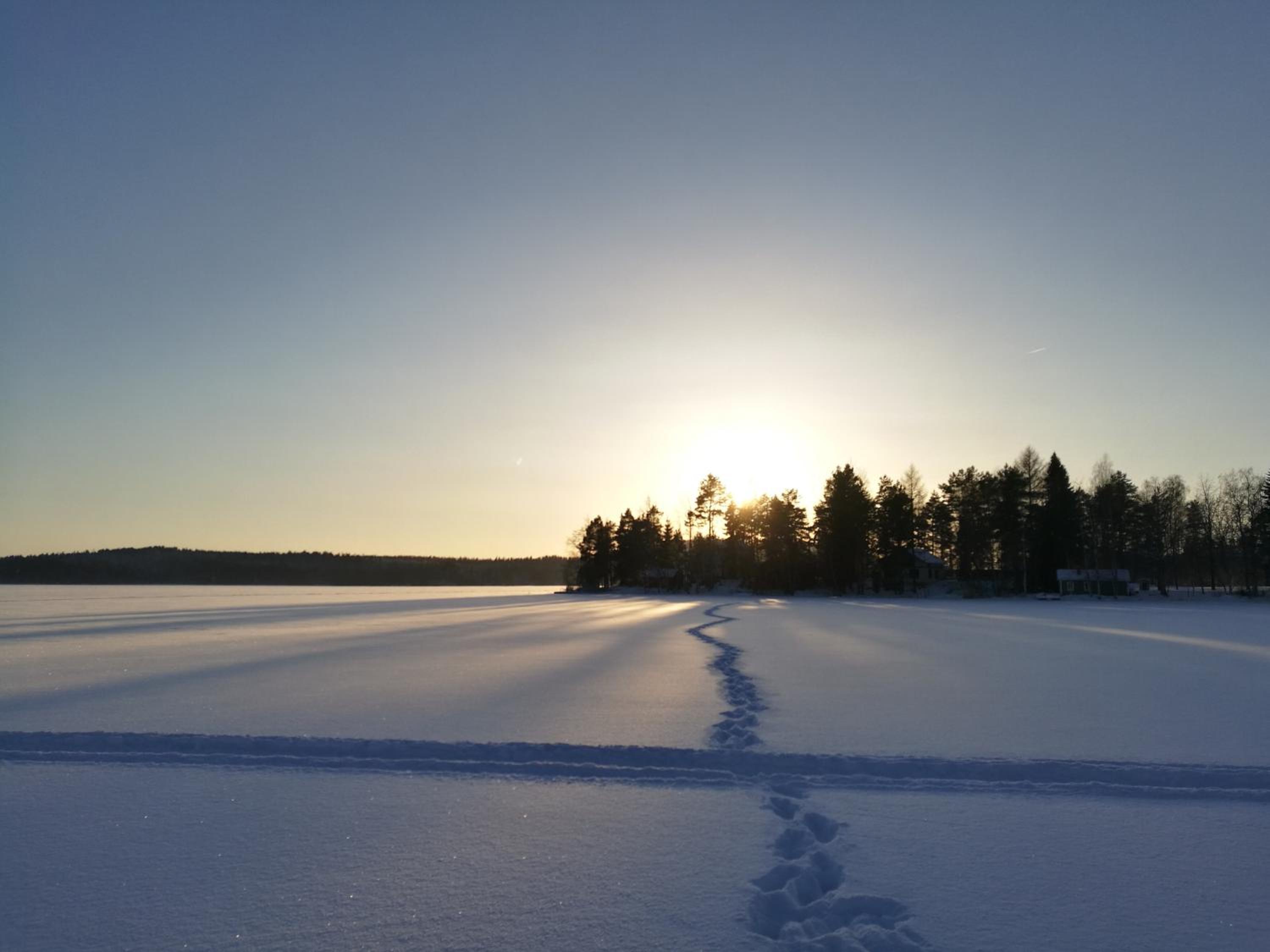 Halkolanniemi view 4