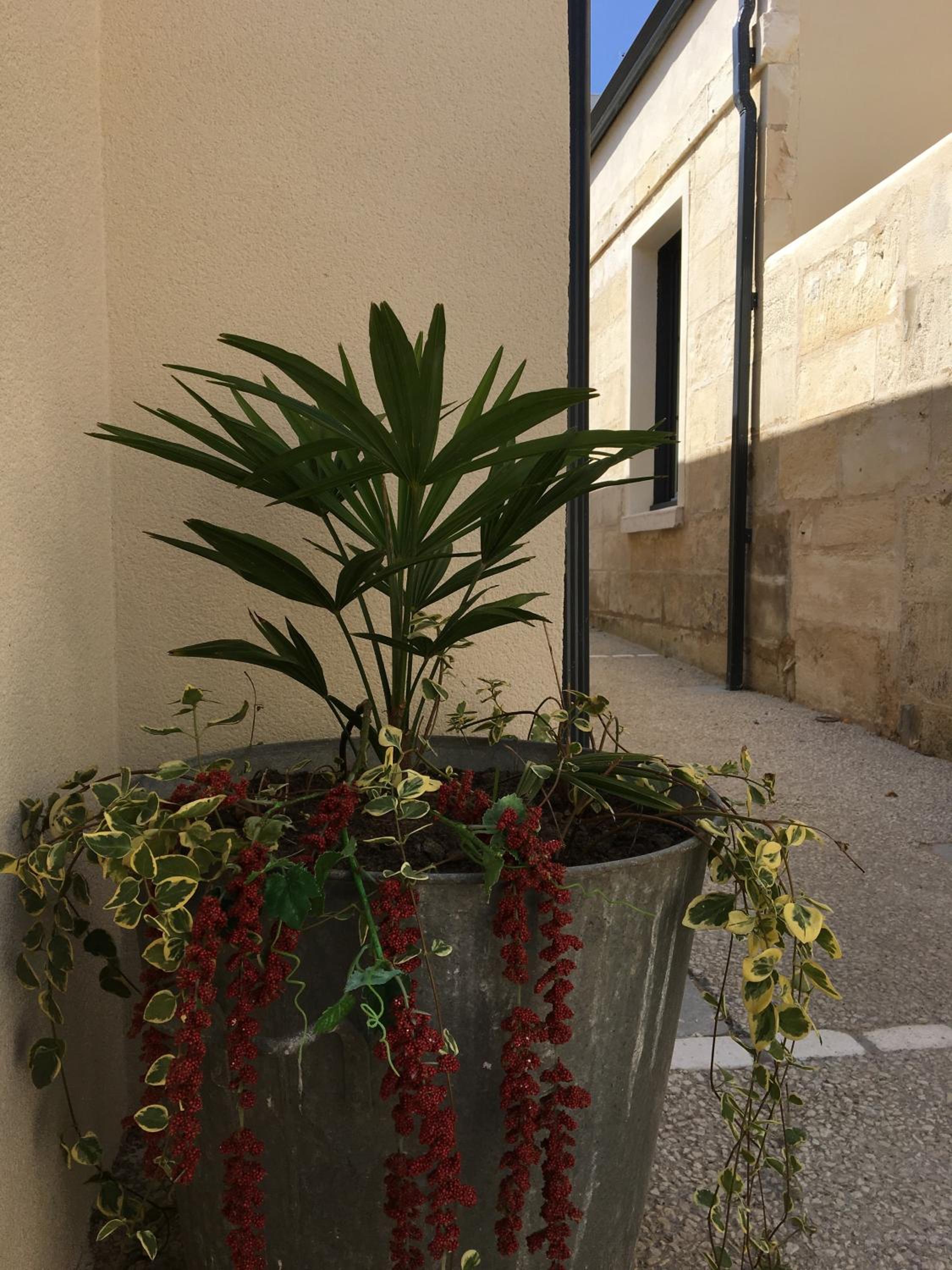 Le clos du square