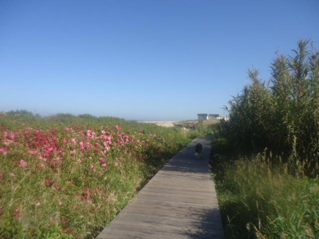 Photo 27