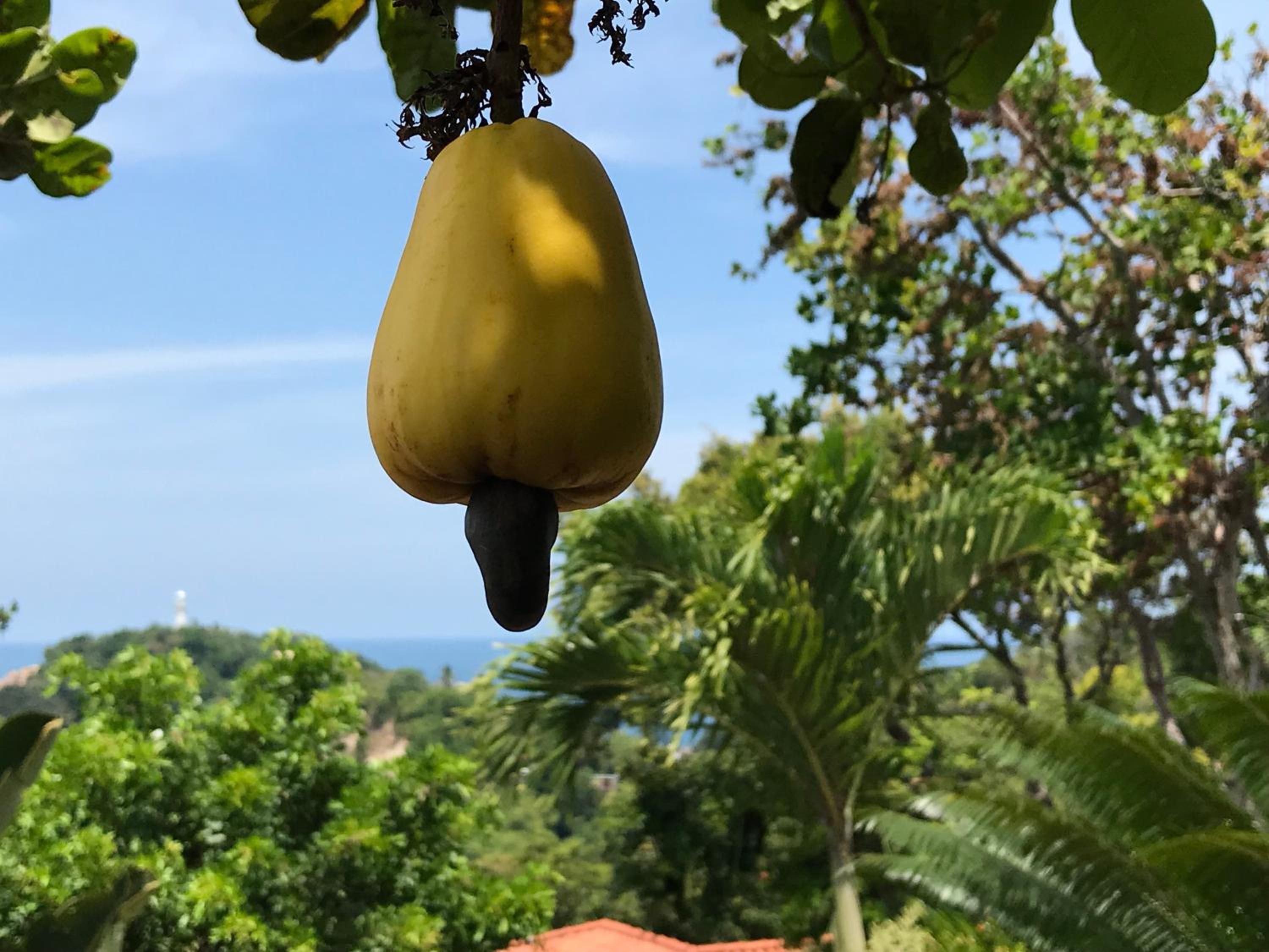 Bangalô dos Sonhos