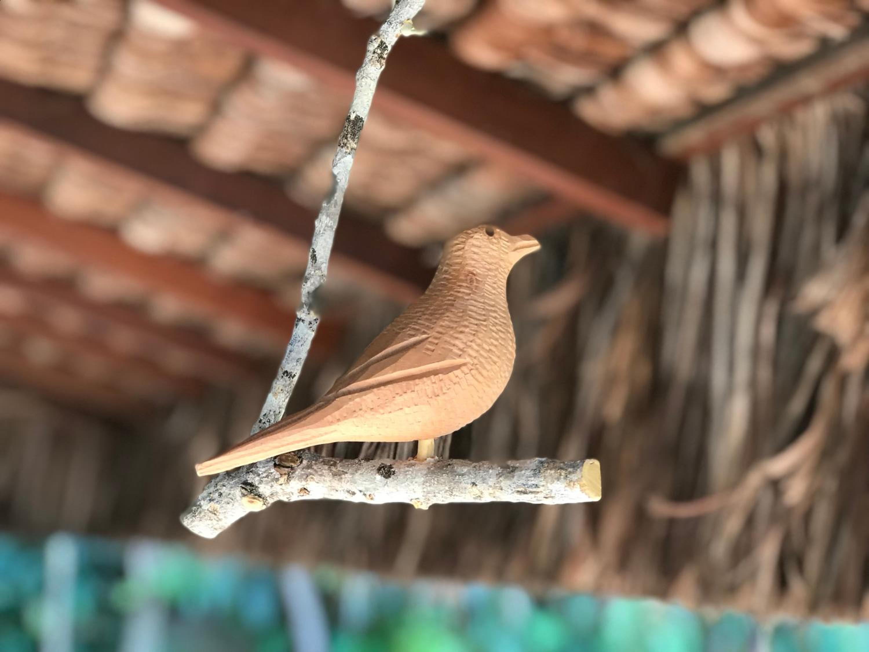 Bangalô dos Sonhos