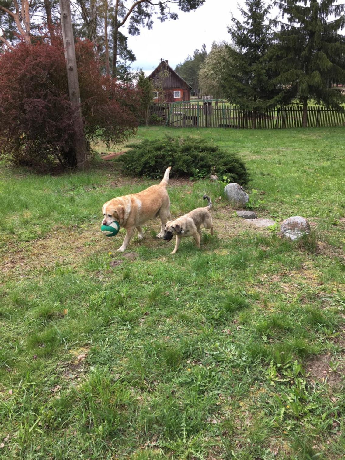 Photo 26