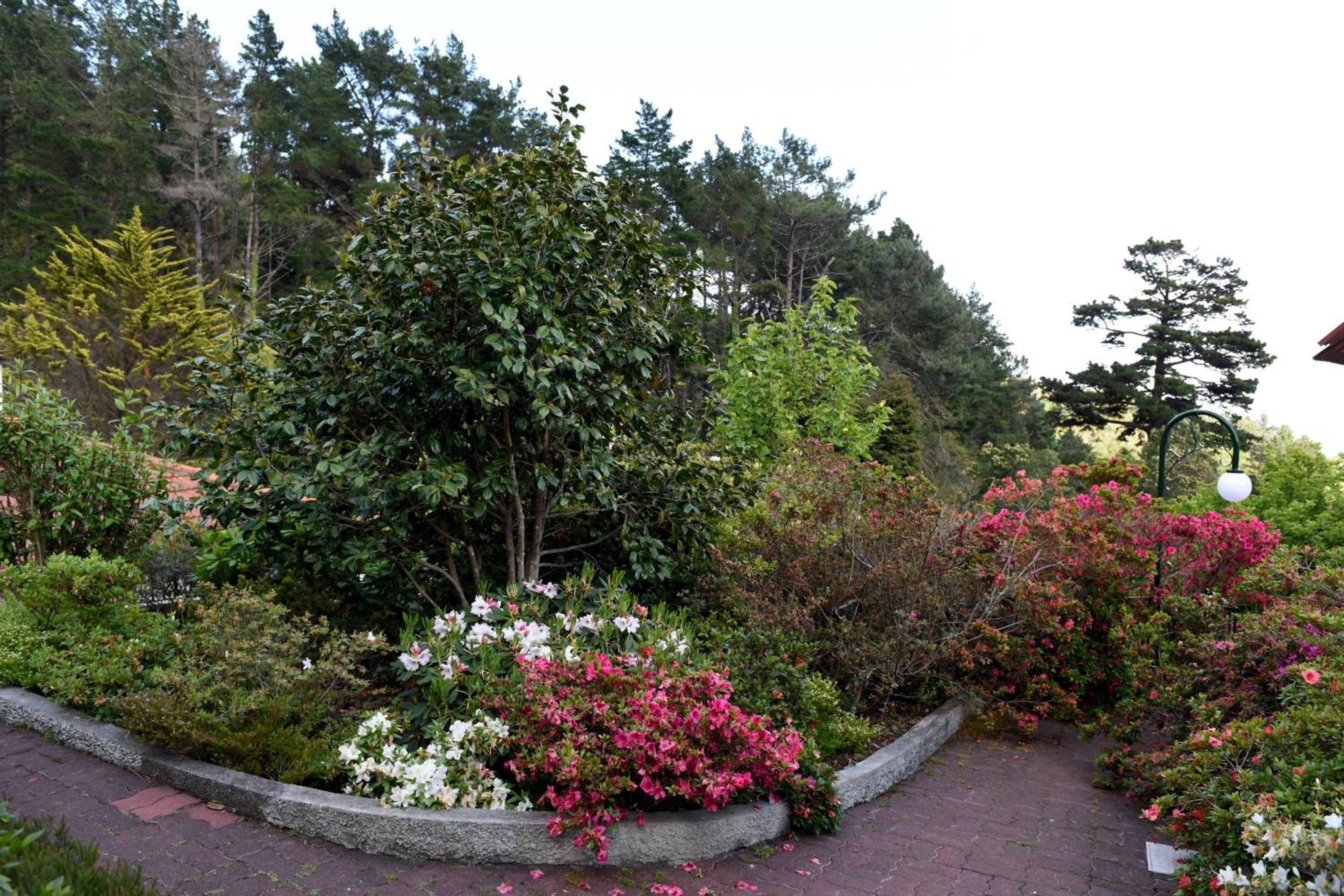 Photo 20