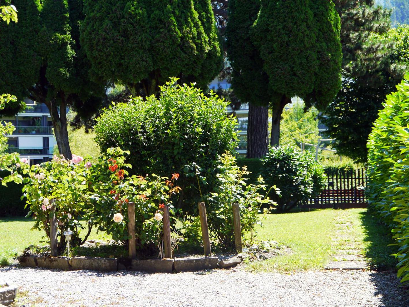 Photo 41