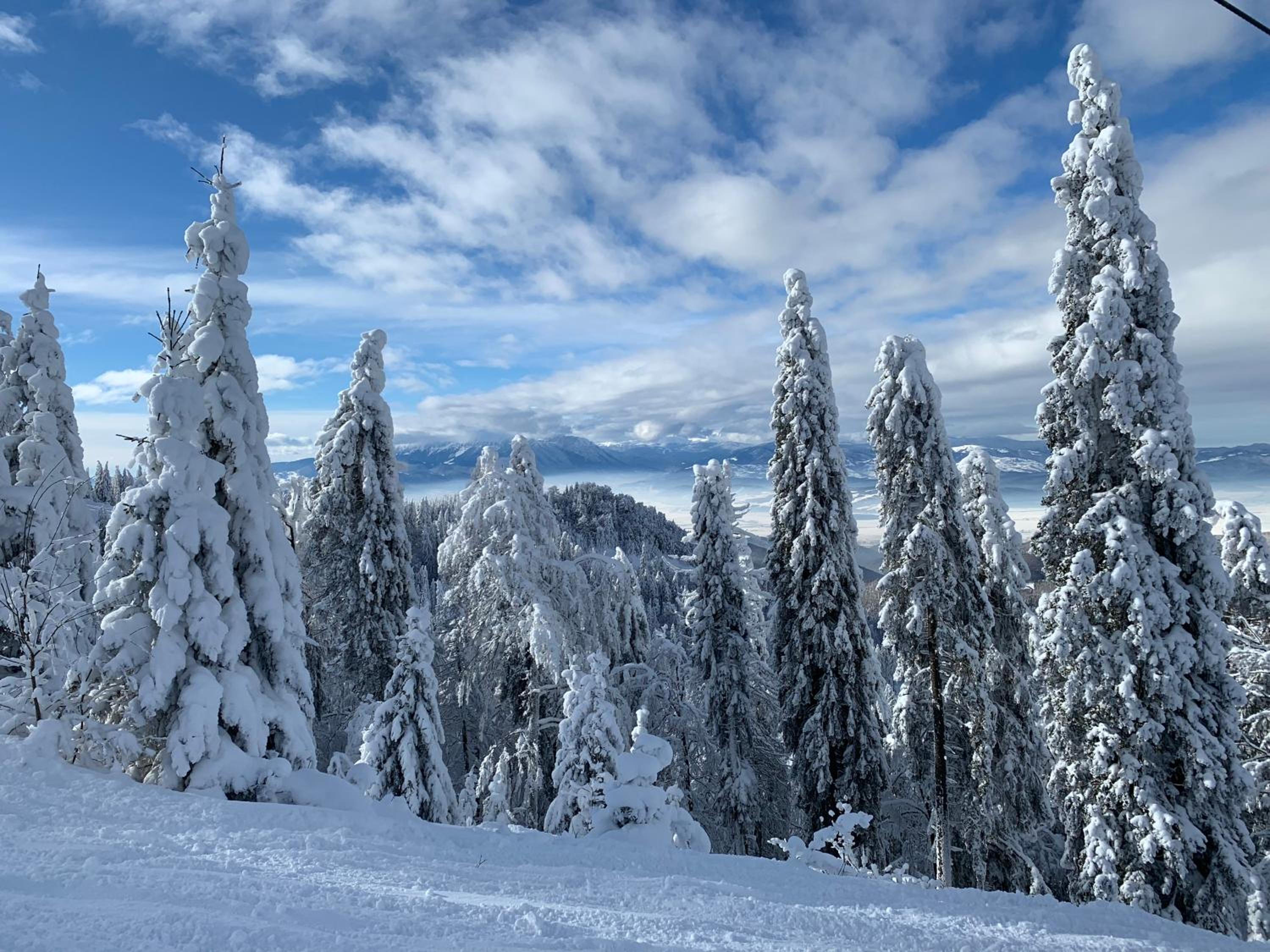 Silver Mountain